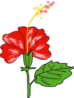 Rød hibiskus vektorillustration Wallpapers