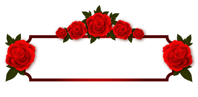 Rød rose banner design Wallpapers