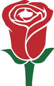 Rød rose vektorkunst Wallpapers