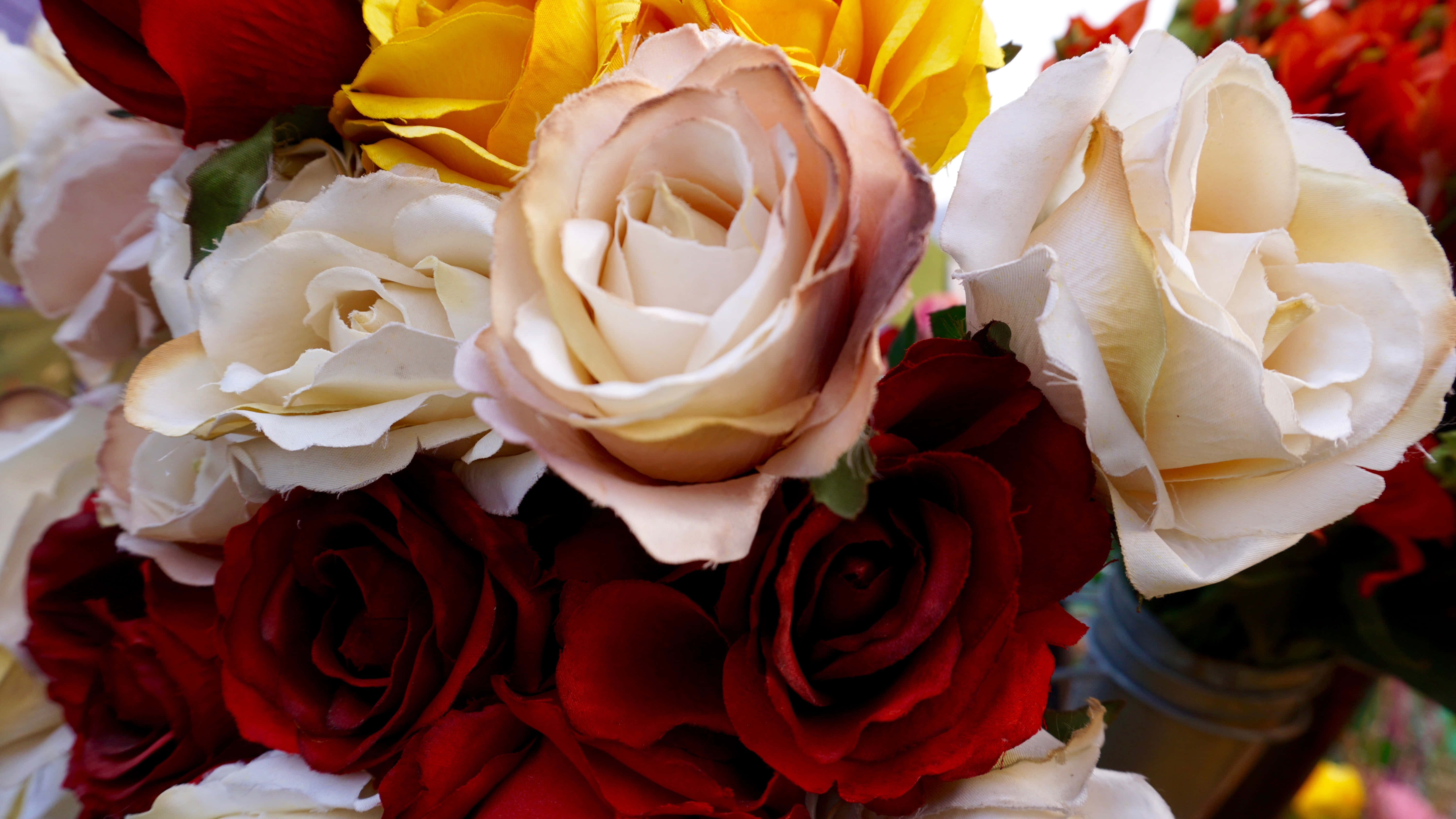 Røde og hvide roser i et blomsterarrangement Wallpapers