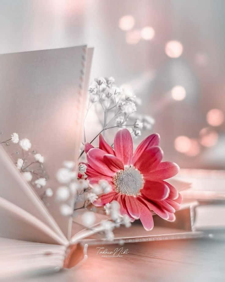 Røde og sølvfarvede blomster smukt profilbillede Wallpapers
