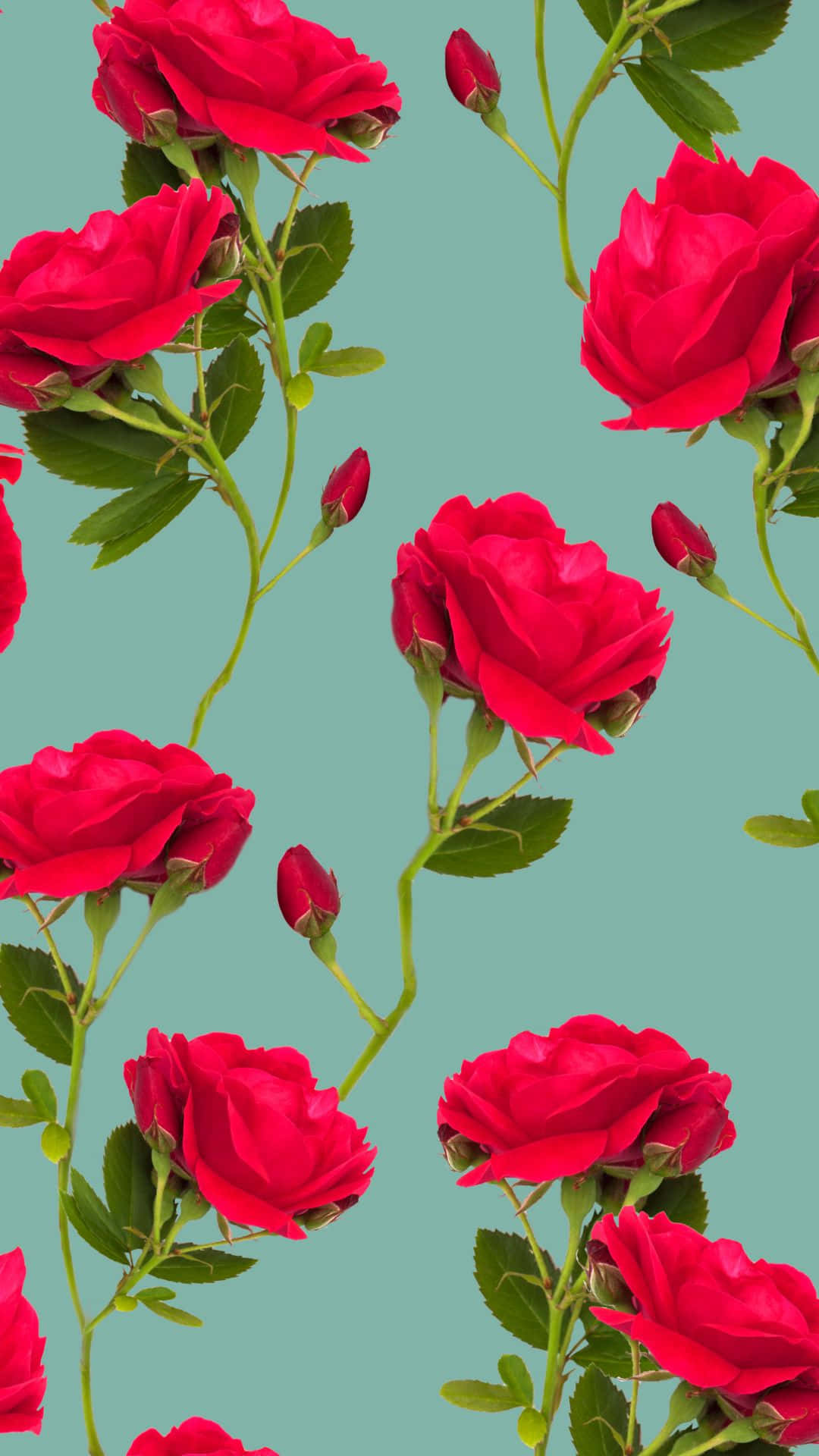 Røde roser æstetisk VSCO mønsterbaggrund Wallpapers