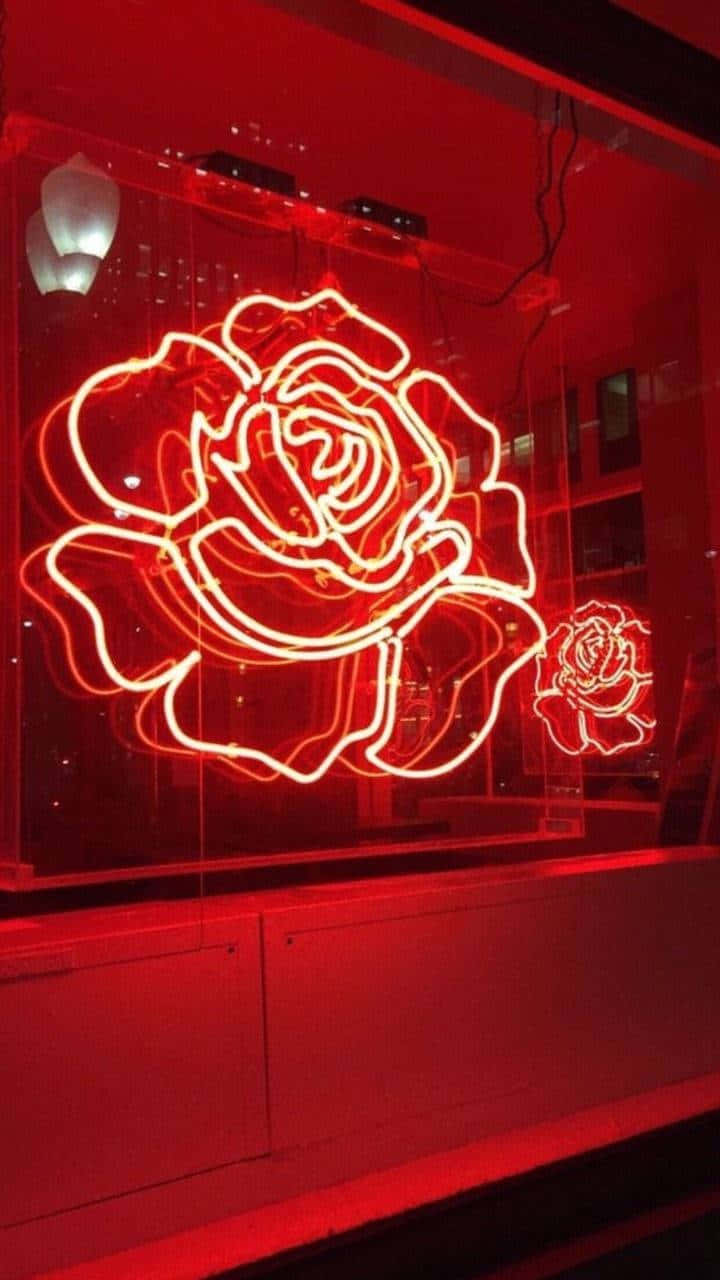 Rødt Neonblomstskilt Mørk Rød Æstetik Wallpapers