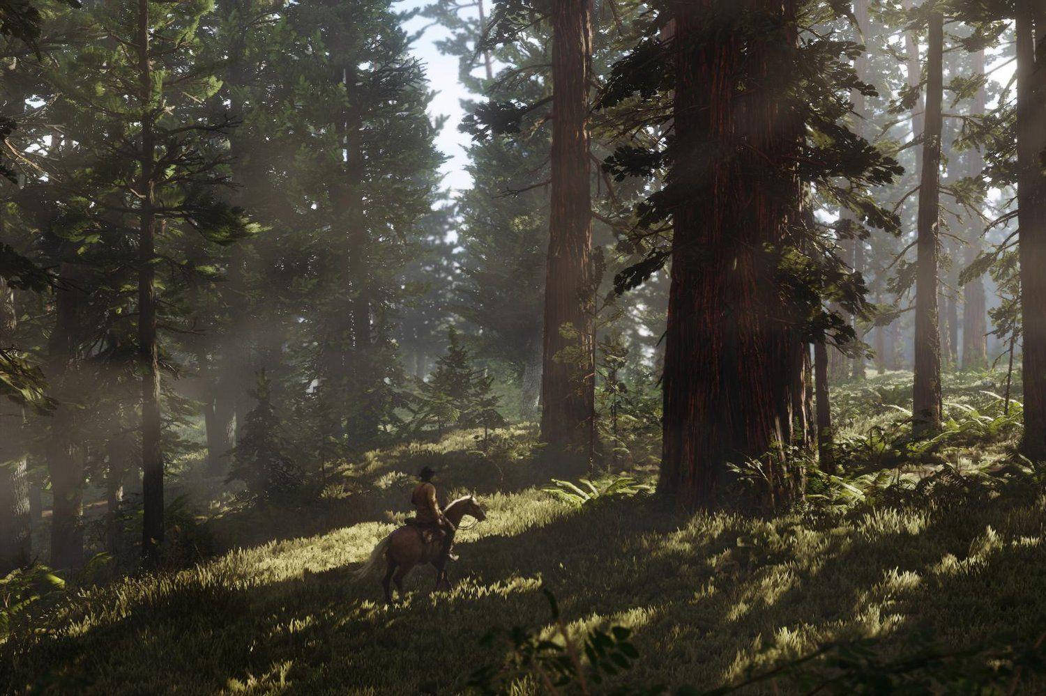 Red Dead Redemption 2 4K Skov Wallpapers
