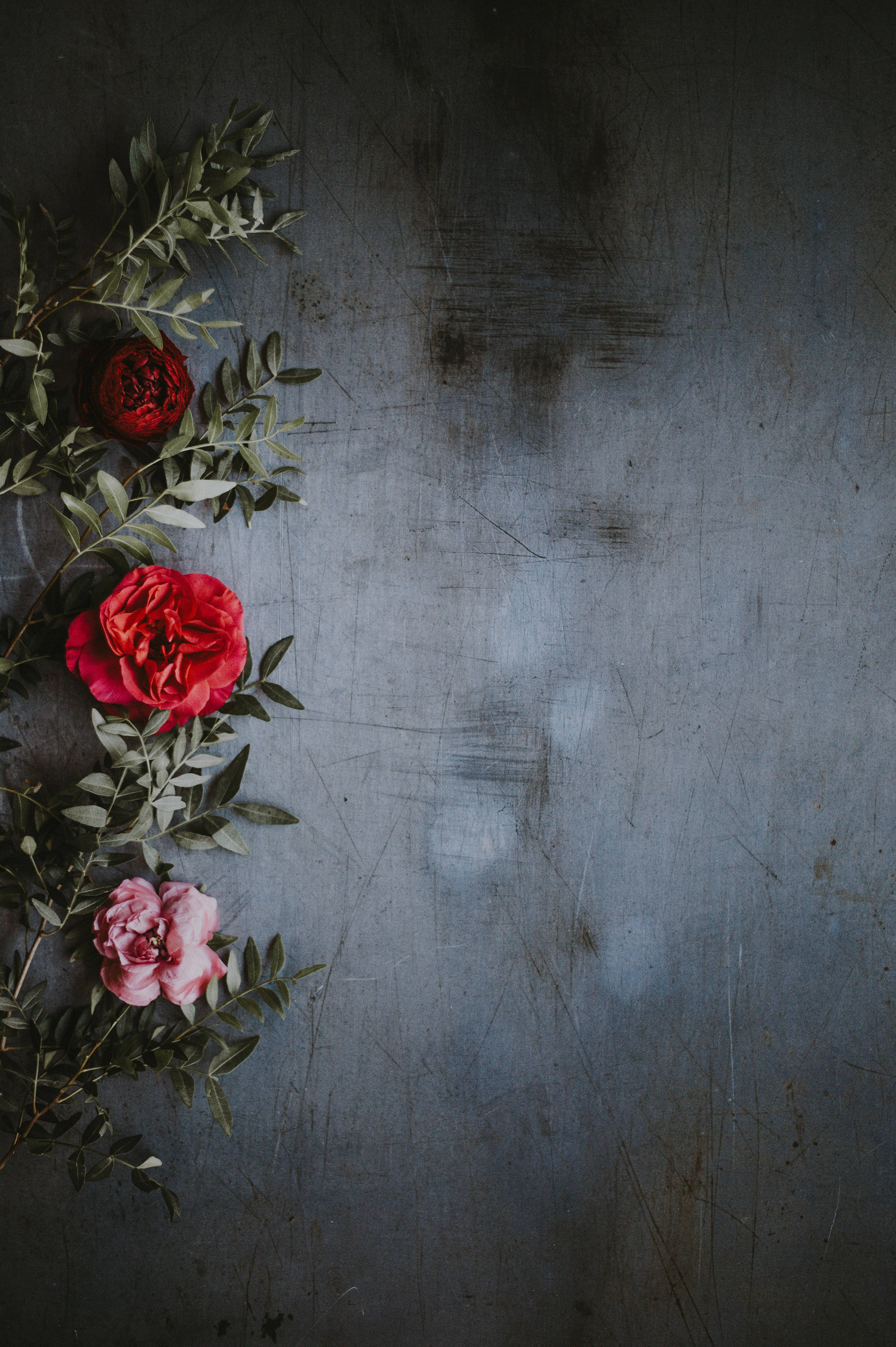 Redmi 4K Roser Baggrund Wallpapers