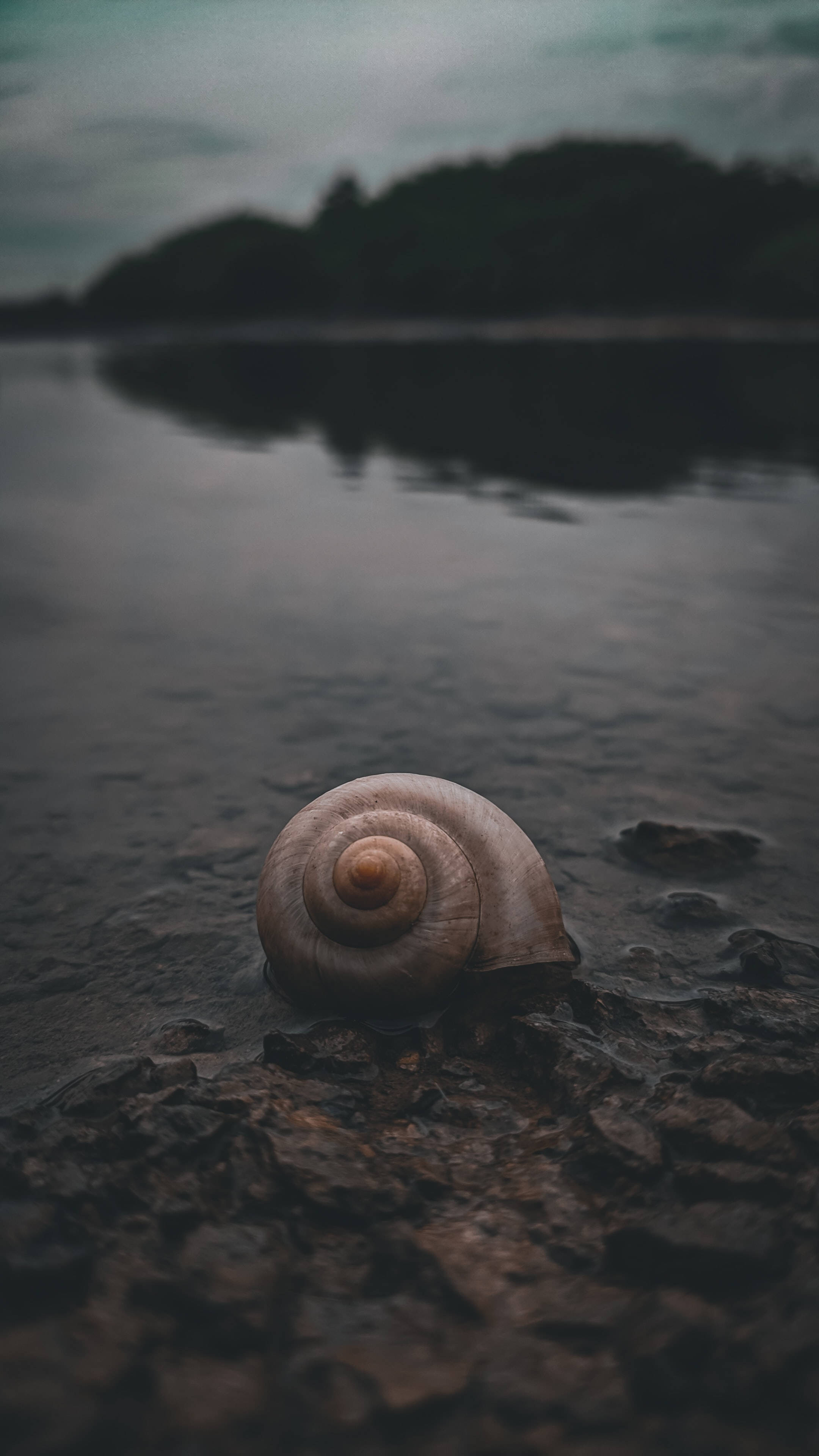 Redmi 4K Snegl Wallpapers