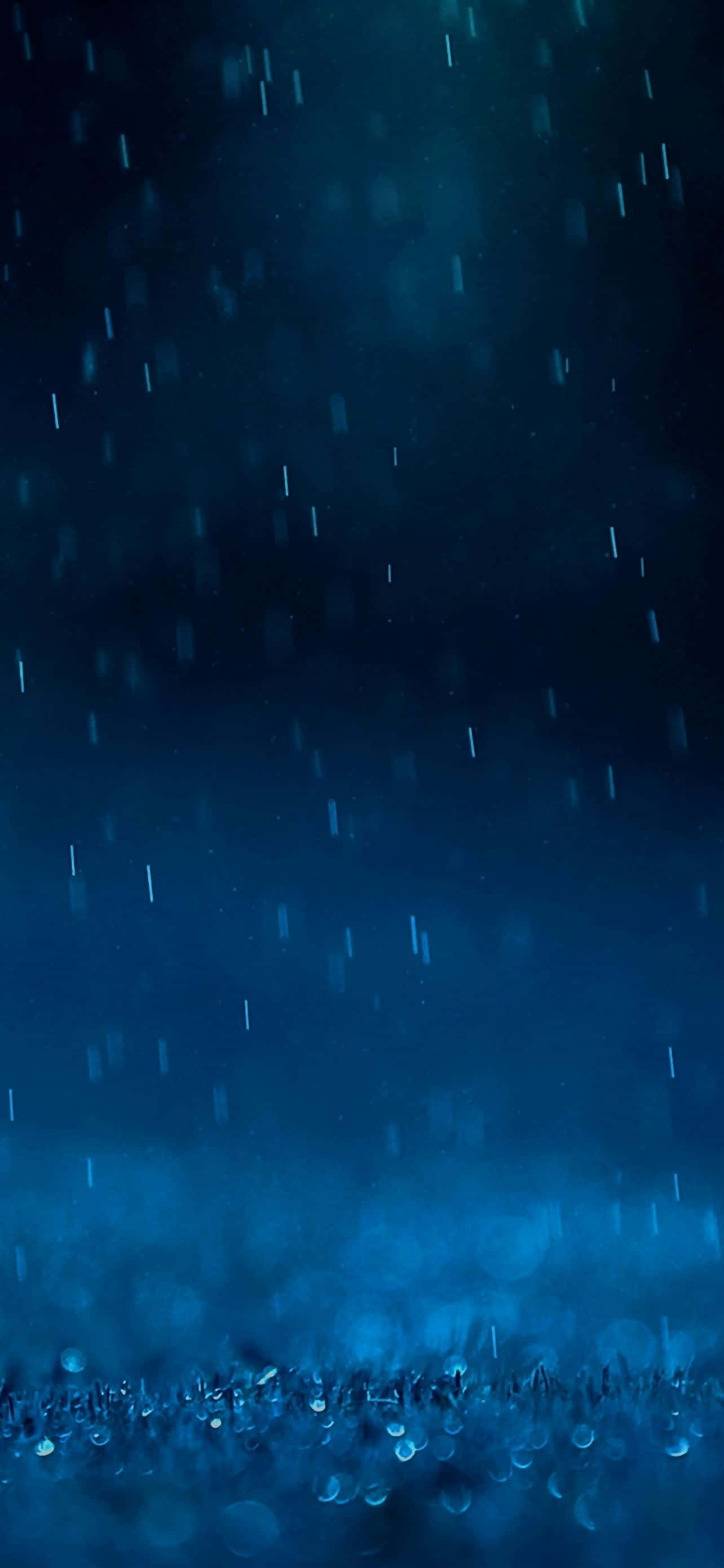 regndråber på jorden Wallpapers