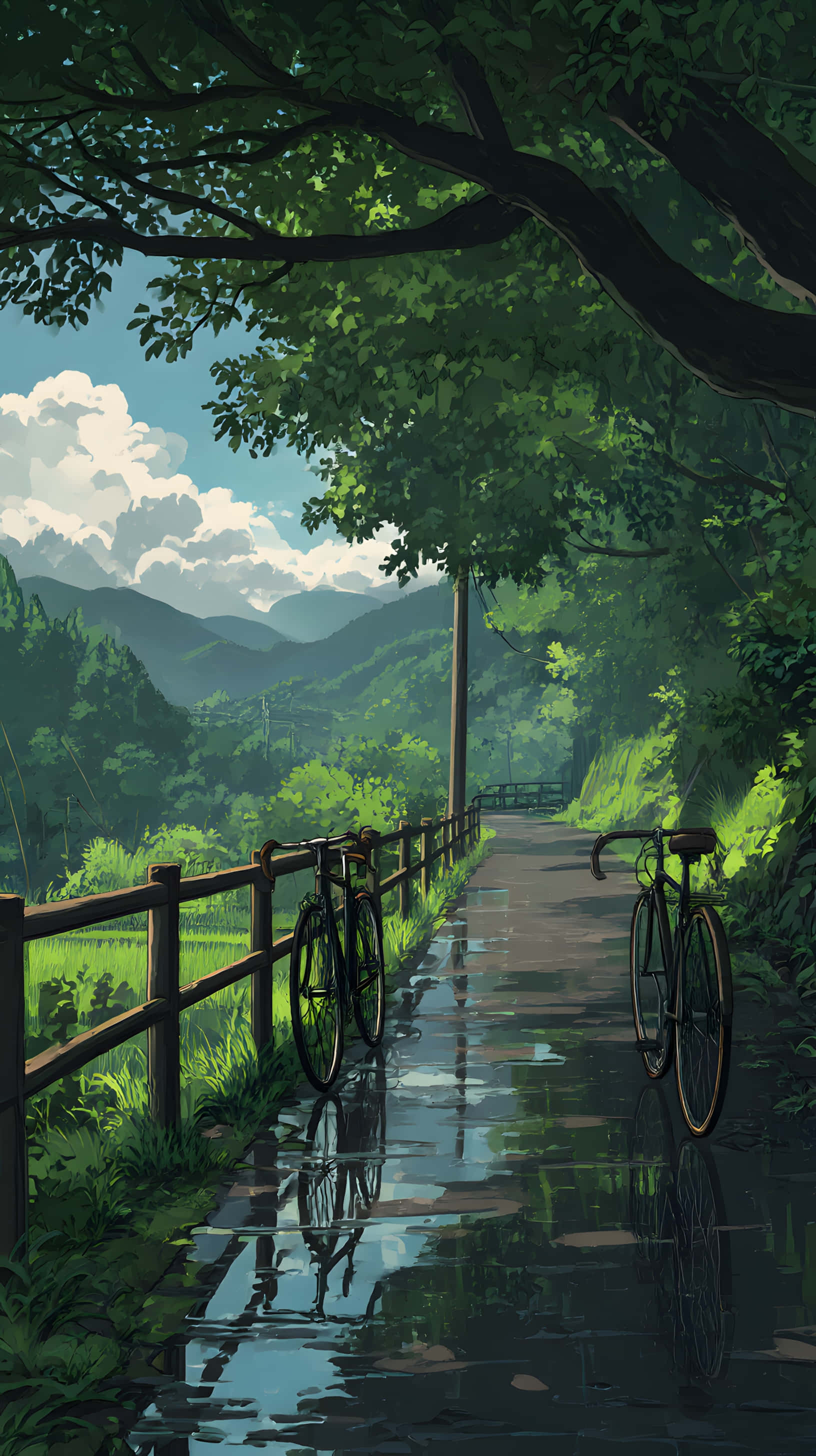 Regnfuld skovsti med cykelrefleksioner Wallpapers