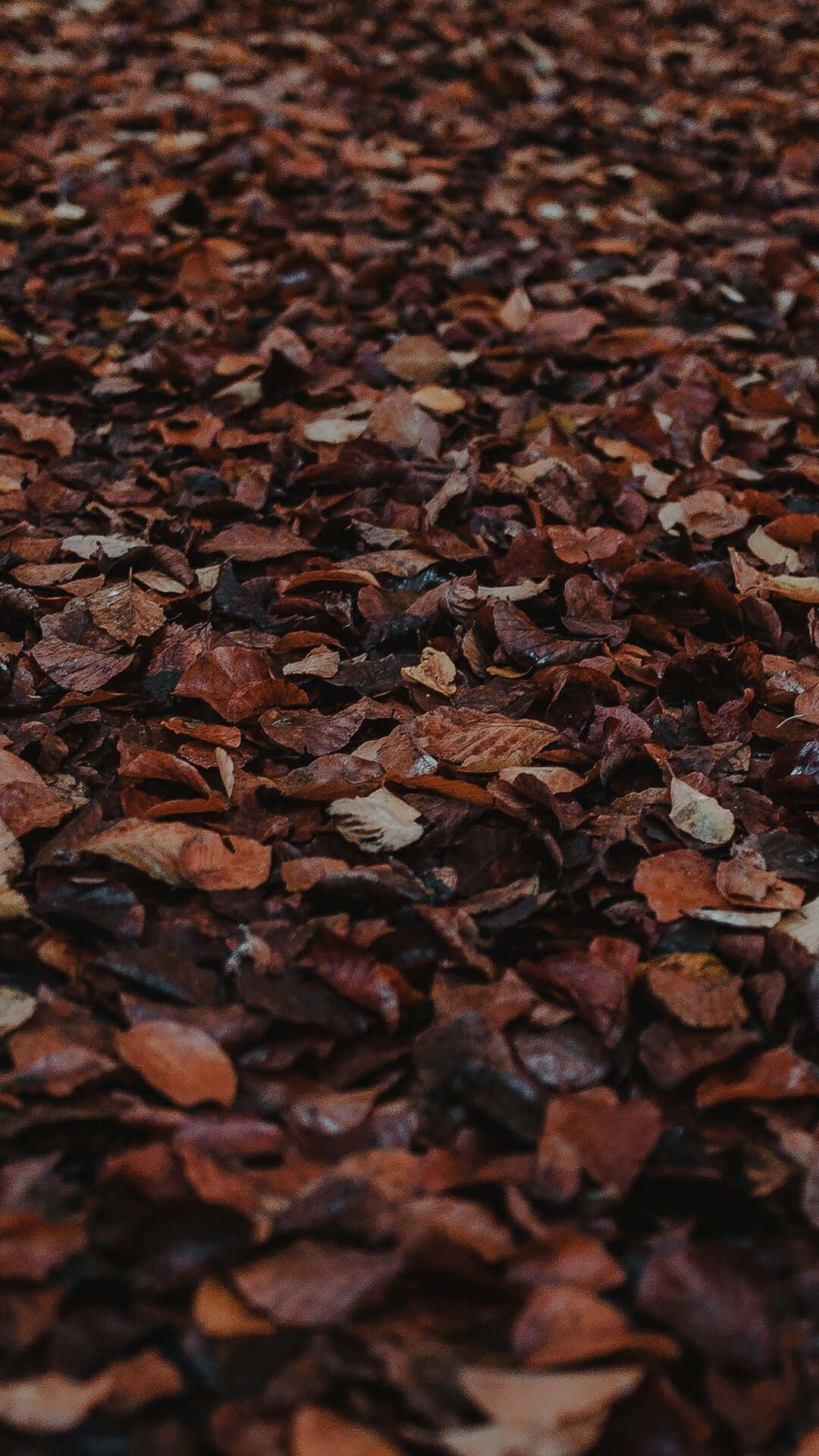 Rige, jordnære toner fremhæver dette minimalistiske bylandskab — en hyldest til det brune æstetiske Wallpapers