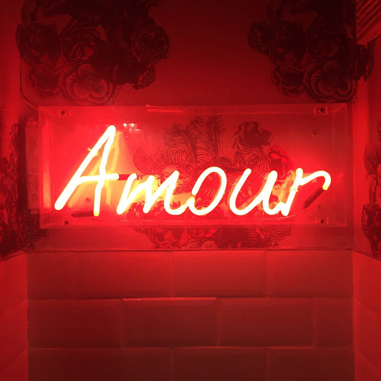 Rød Æstetisk Neon Amour Wallpapers