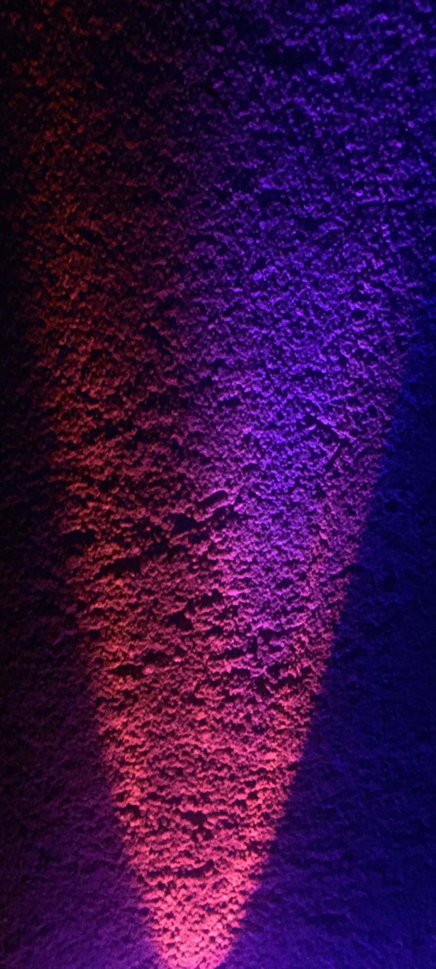 Rød blomst i et grønt felt Wallpapers