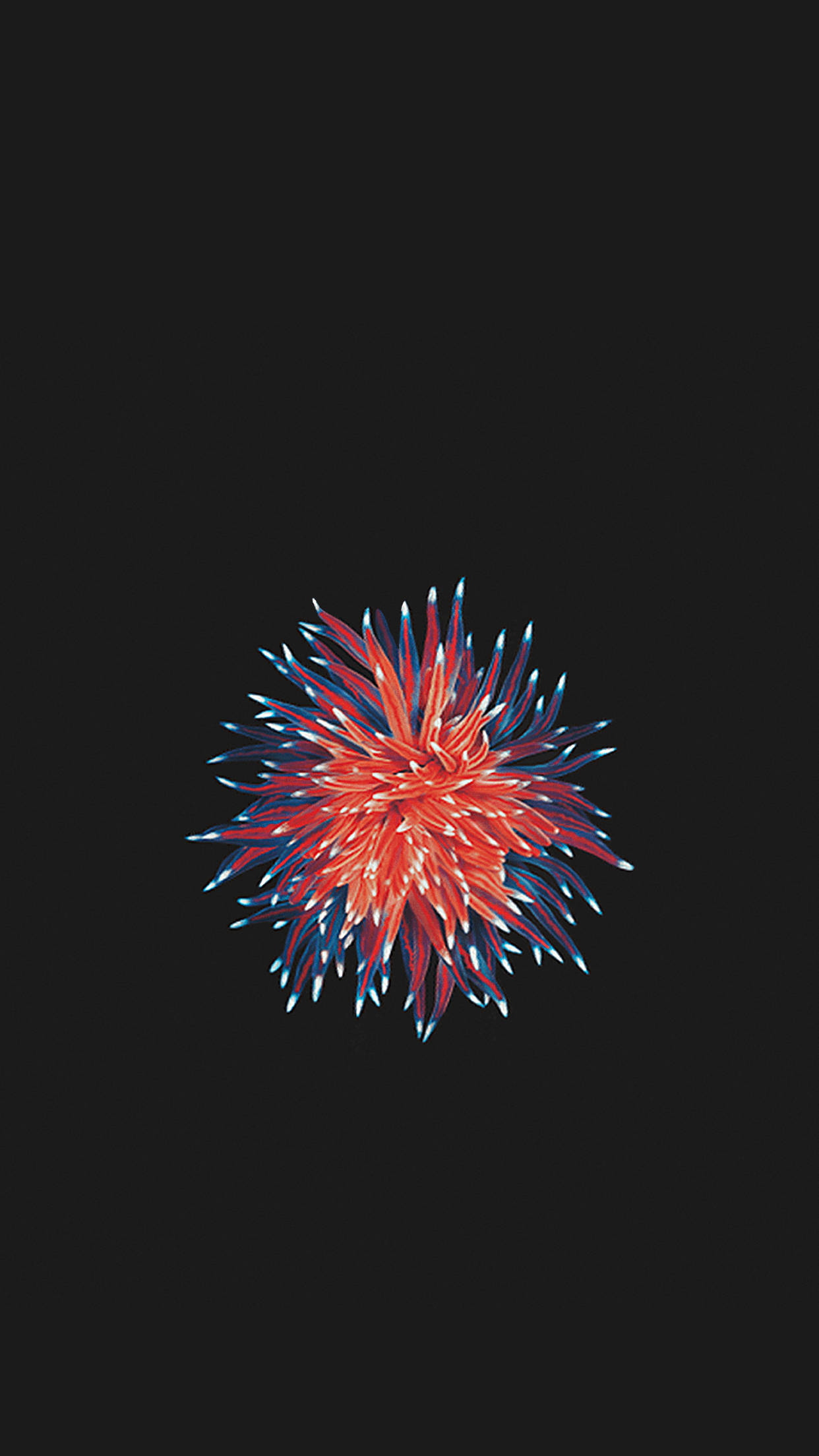Rød og blå organisme iPhone SE Wallpapers