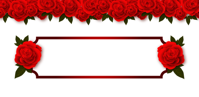 Rød rose banner design Wallpapers