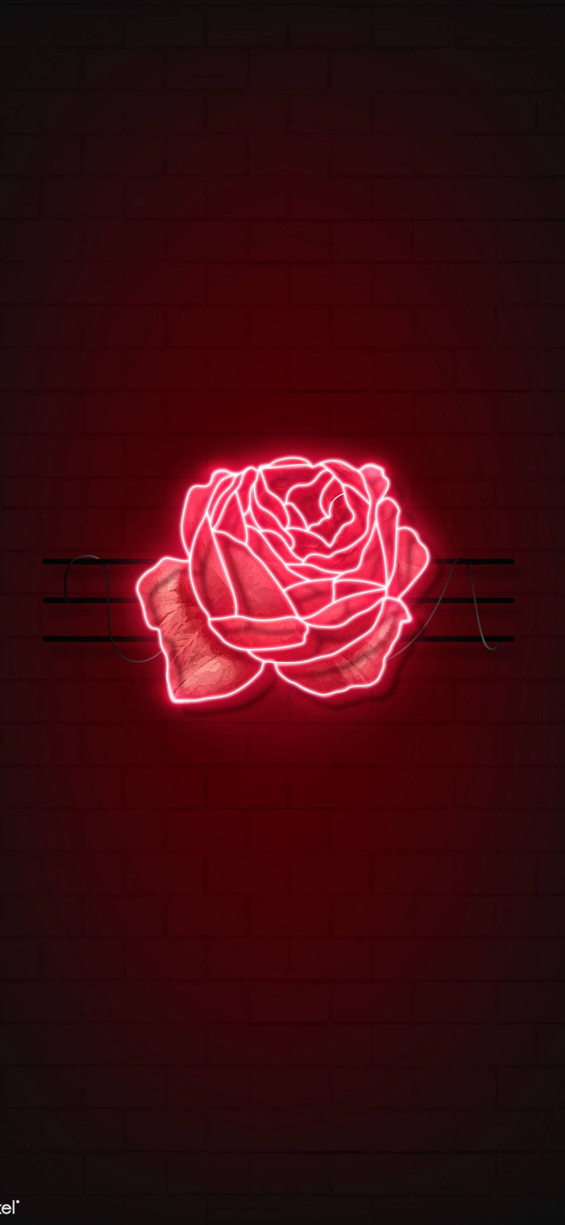 Rød rose LED-lys Wallpapers