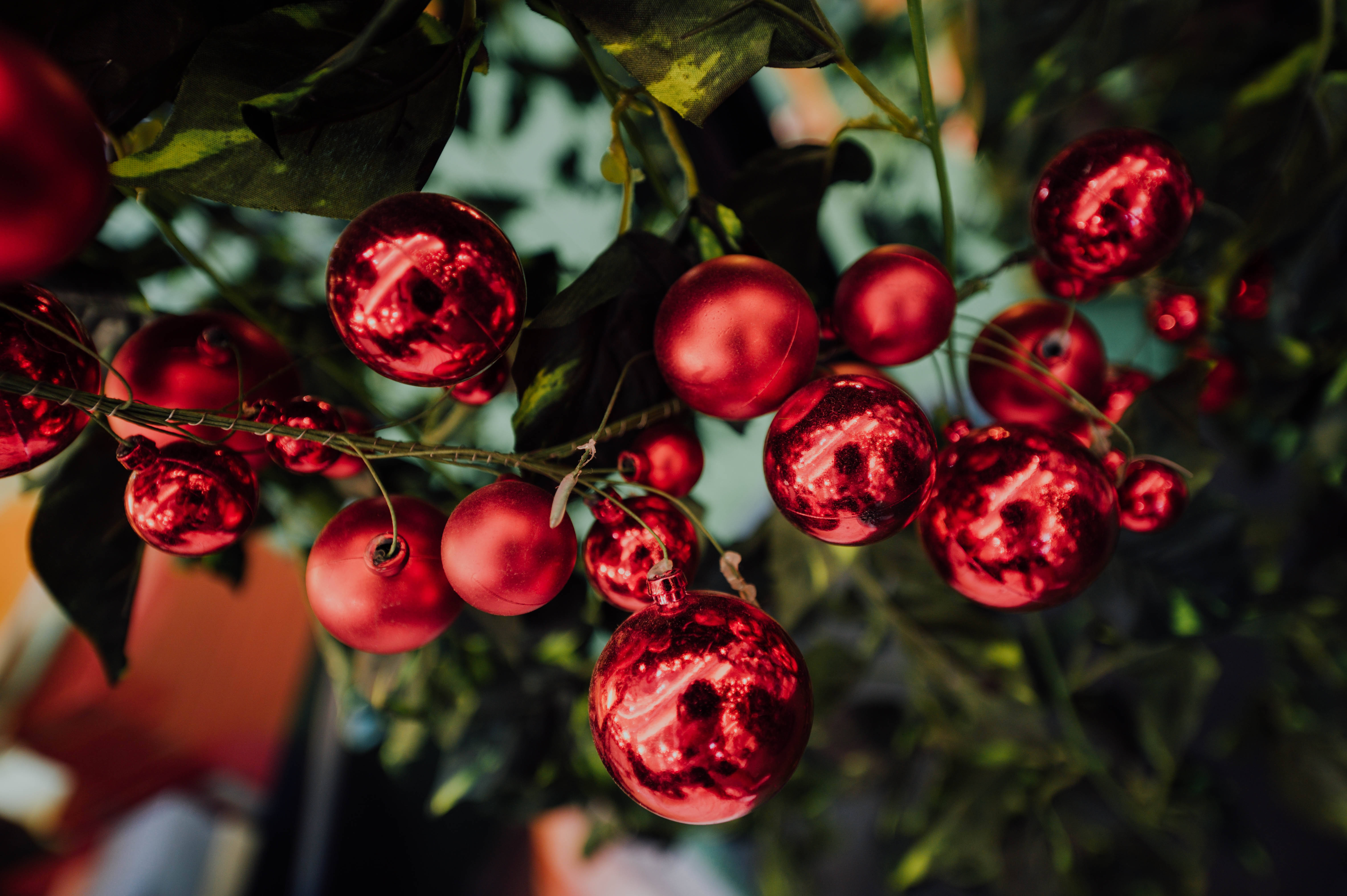 Røde julekugler Wallpapers
