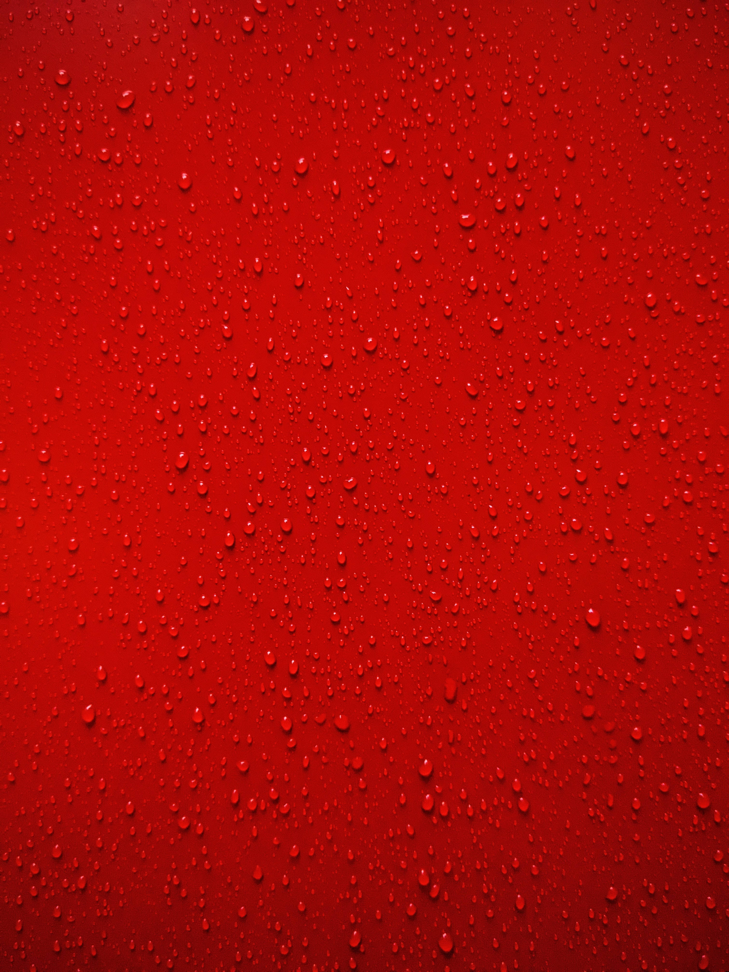 Røde Regndråber Æstetisk Mønster Wallpapers