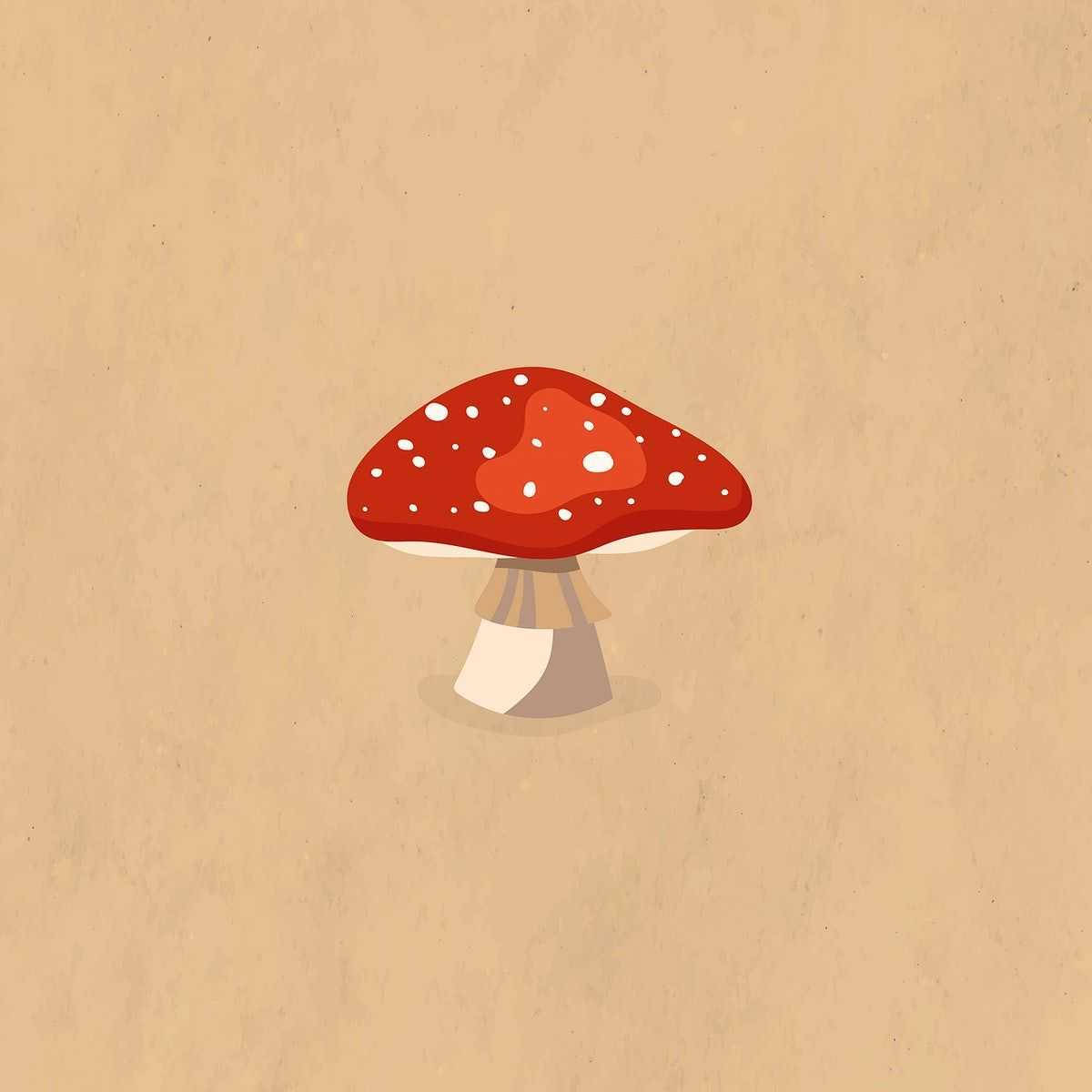 Rødhat-svamp æstetik Wallpapers