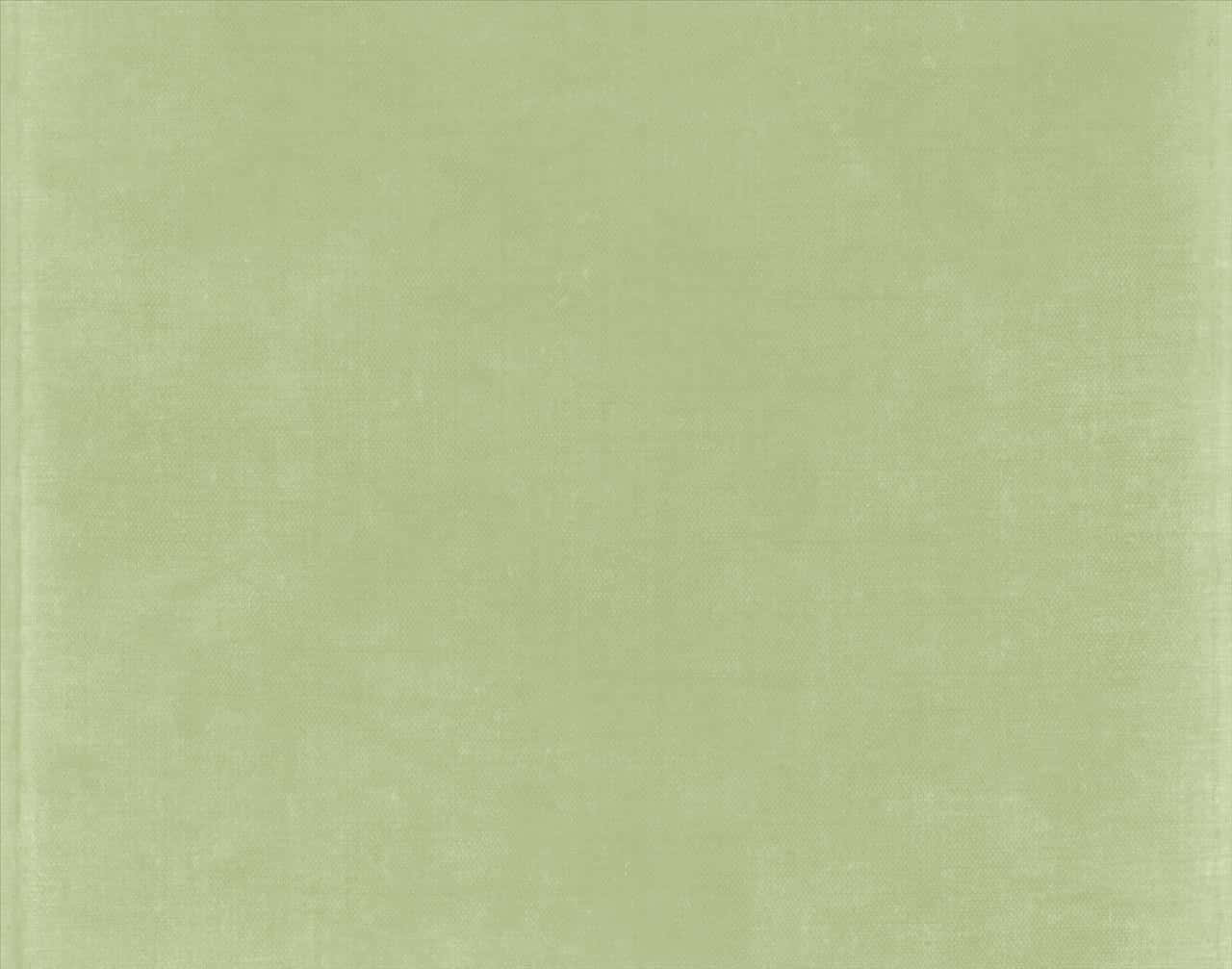 Rolig salviegrøn æstetisk baggrund Wallpapers