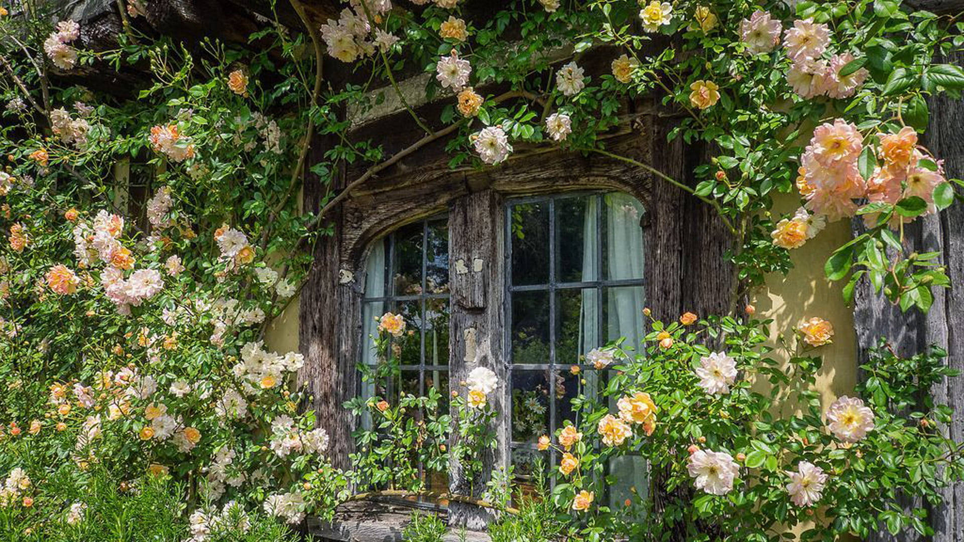 Roligt Cottagecore-skrivebordsbillede Wallpapers
