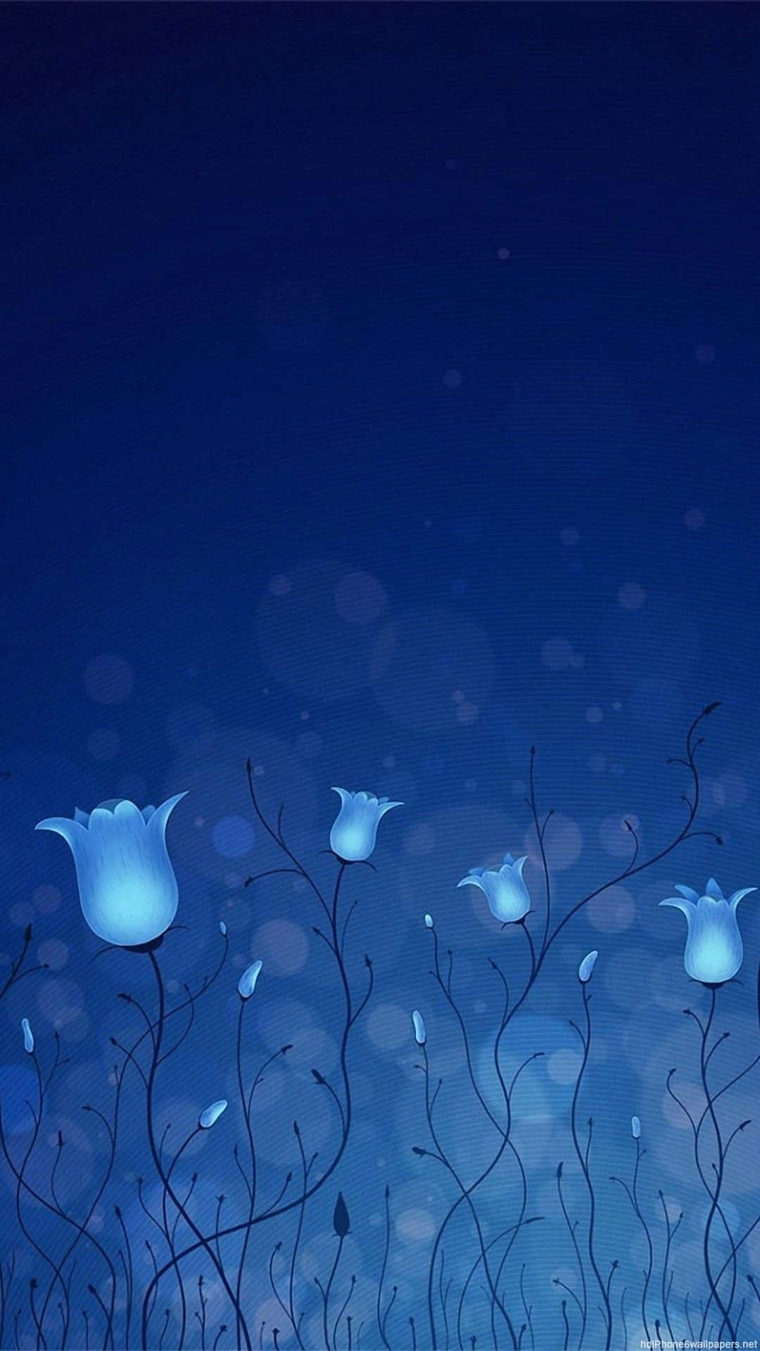 Romantisk galaktisk nattehimmel Wallpapers