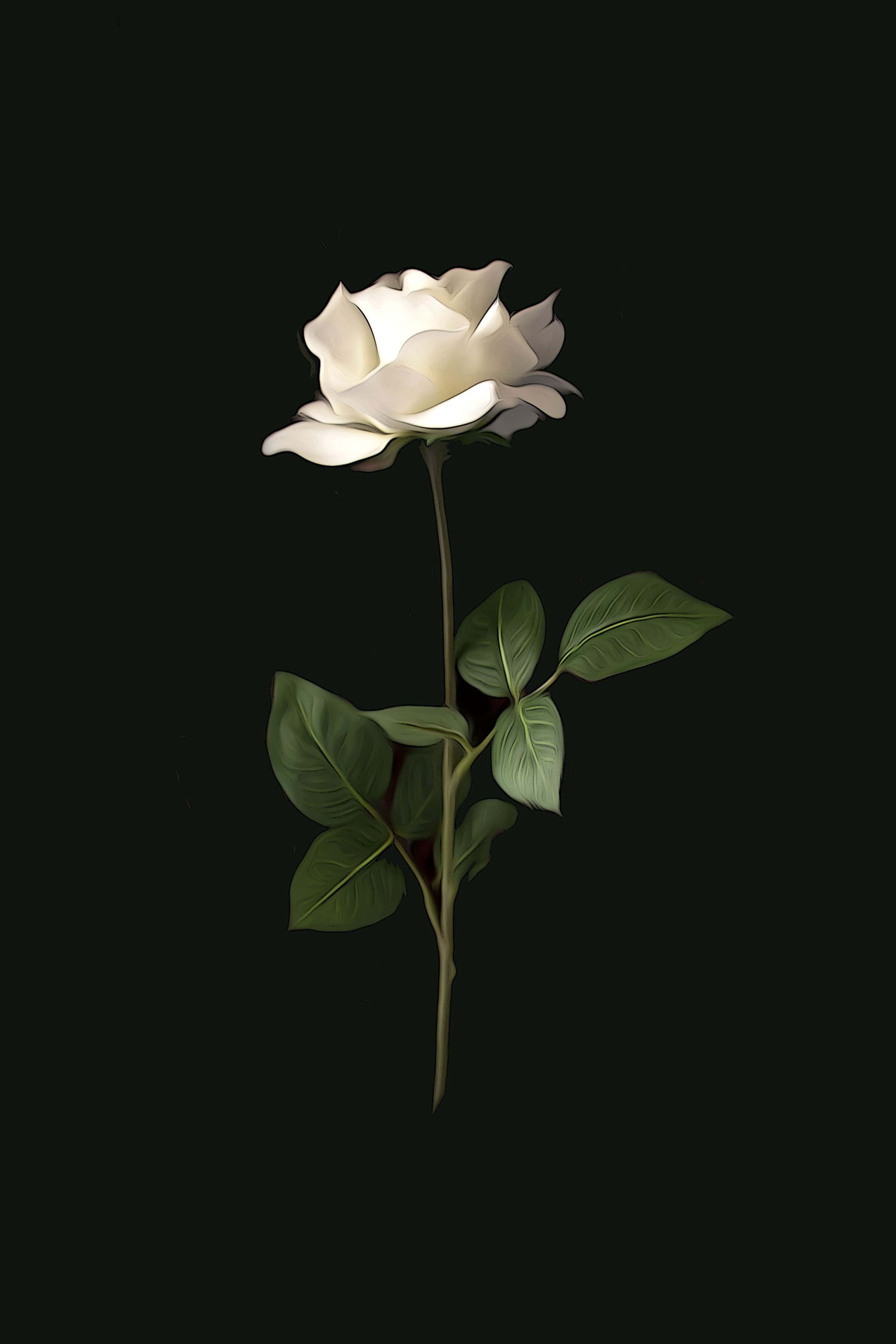 Romantisk æstetik med en smuk blomst Wallpapers
