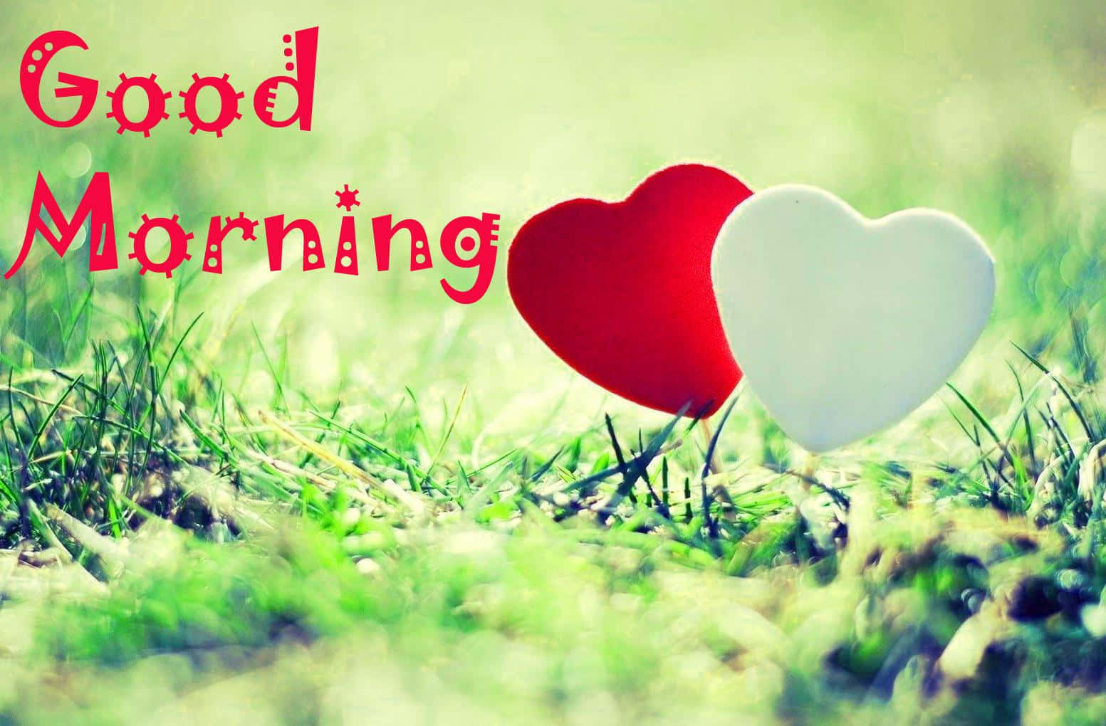 Romantiske hjerter Godmorgen Kærlighed Wallpapers