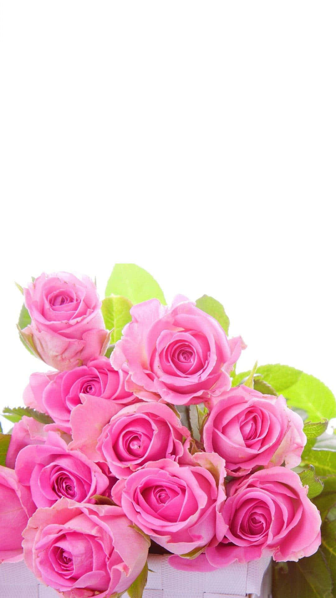 Rosebuket iPhone-billeder Wallpapers