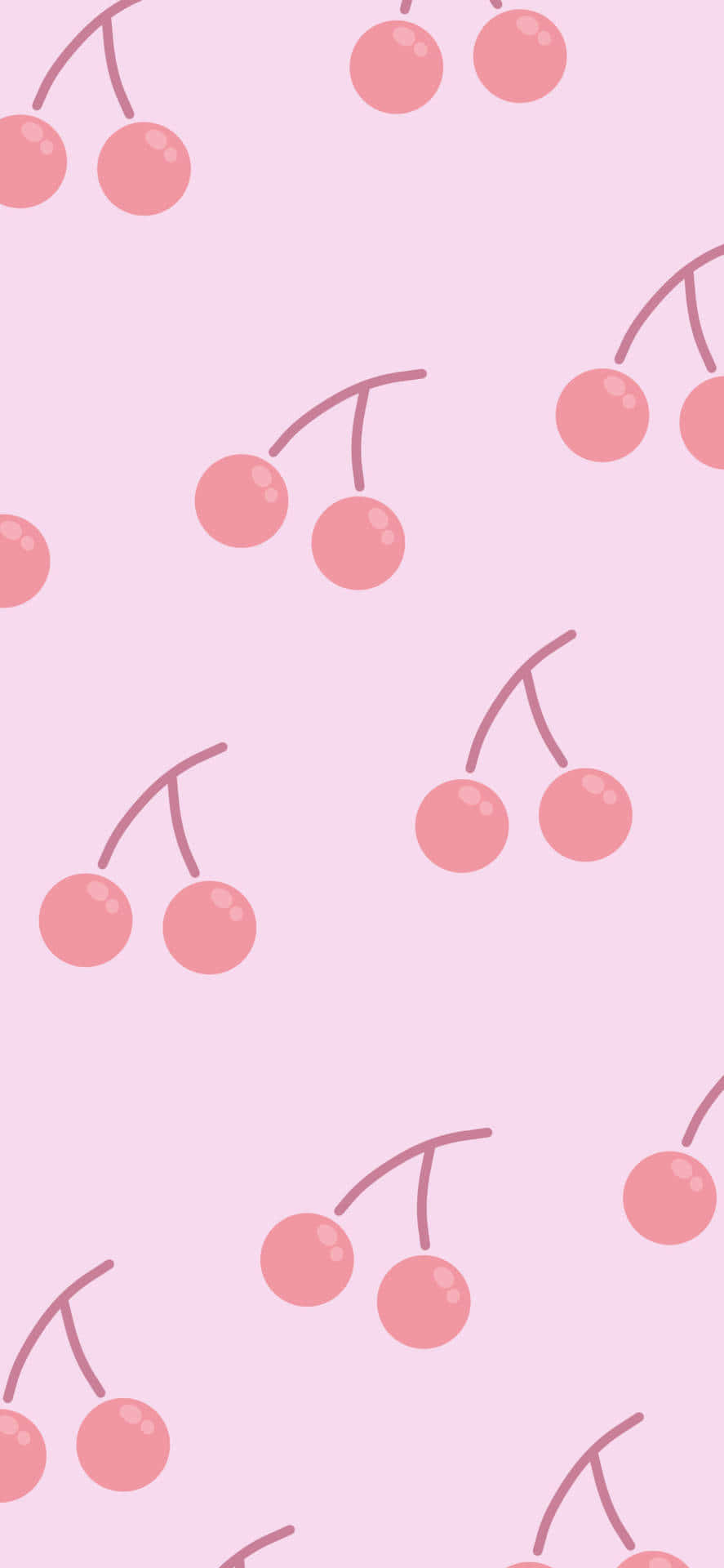 Runde og lyserøde søde kirsebær Wallpapers