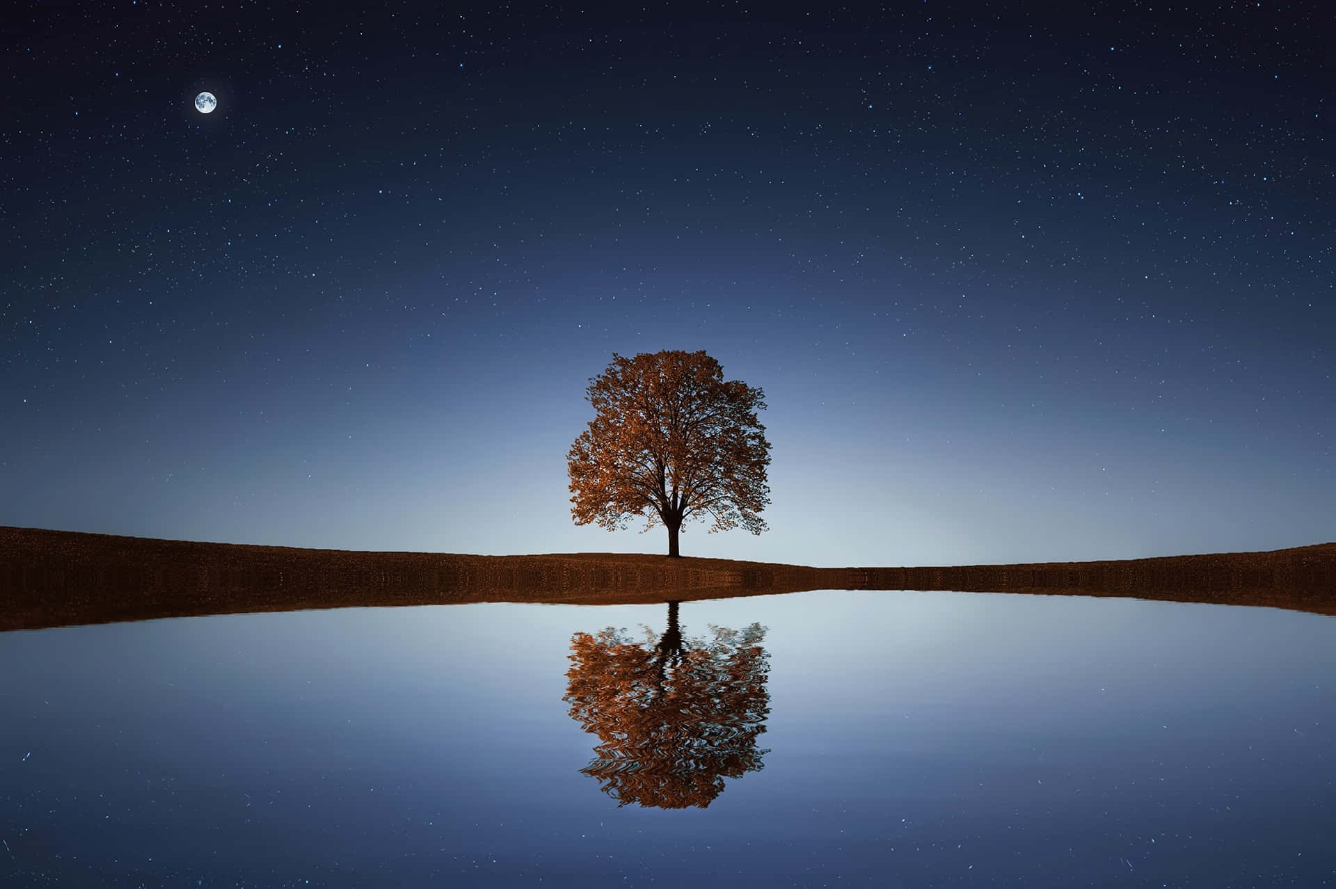 Sø, træ og måne Wallpapers