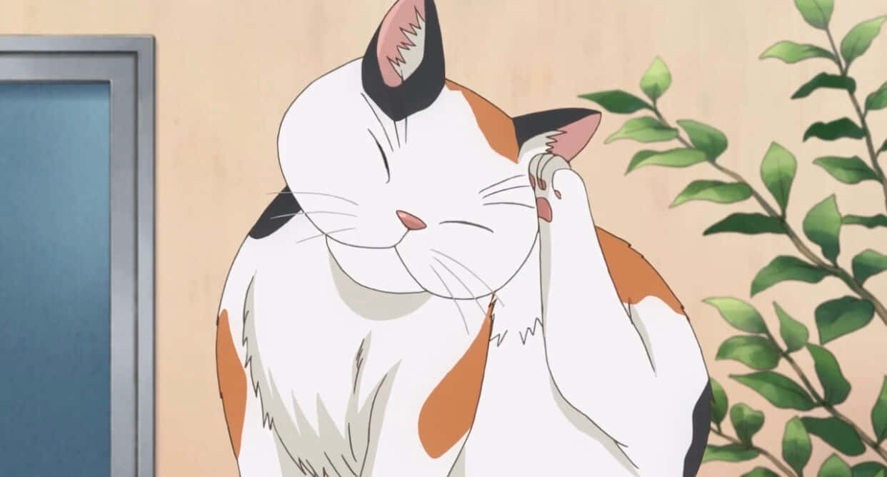 Sådan en sød anime-kat med briller! Wallpapers