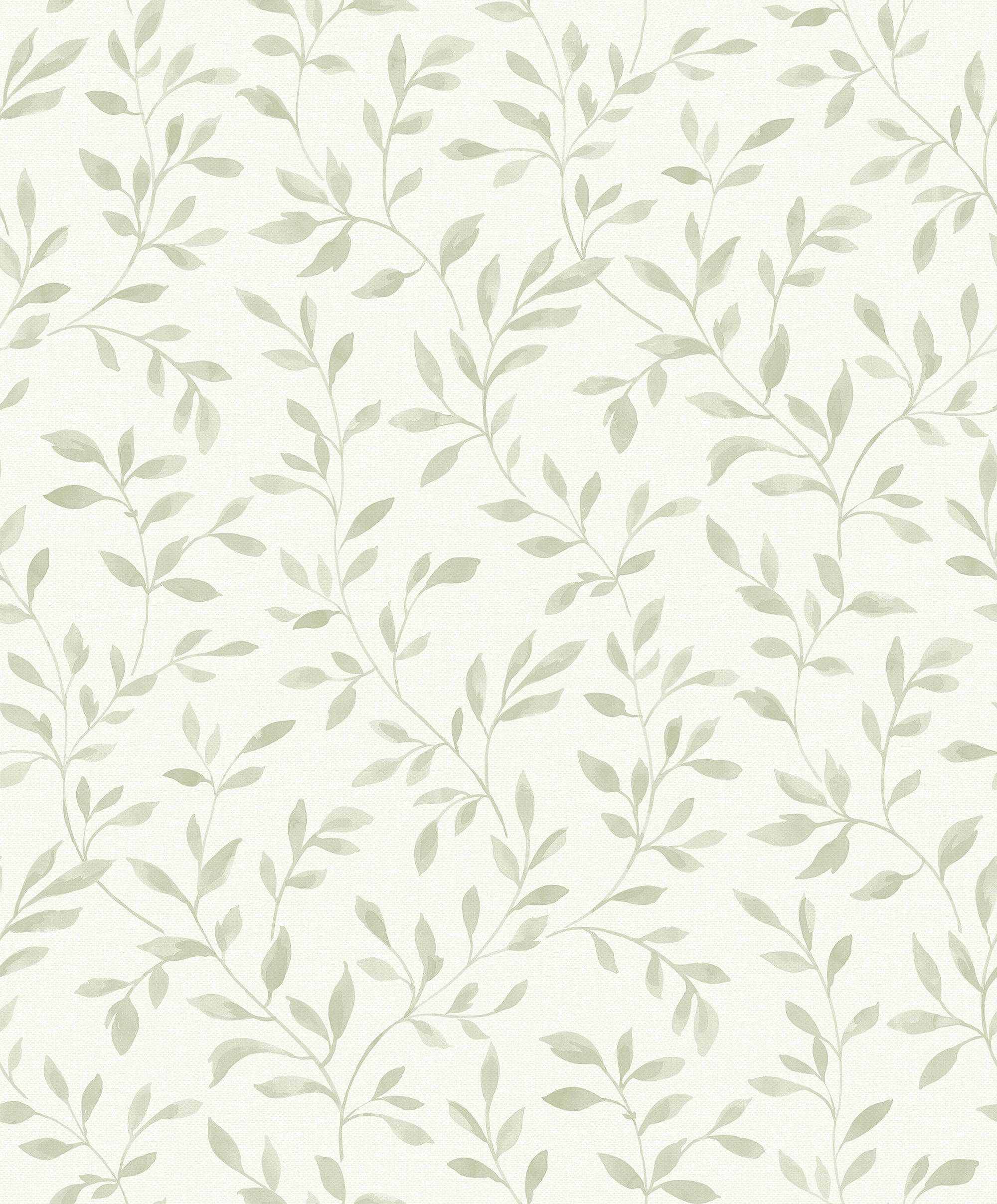 Salviegrønne æstetiske slyngplanter Wallpapers