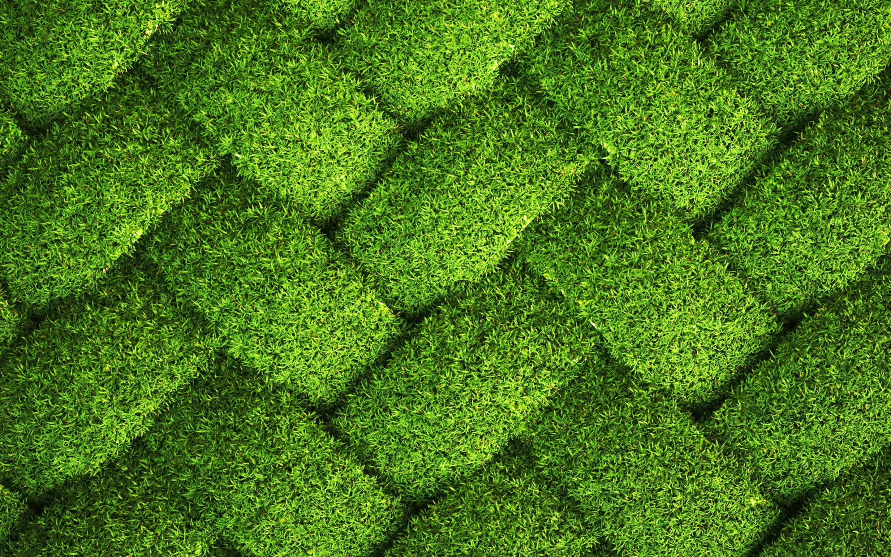 Sammenflettet græsbakgrund Wallpapers