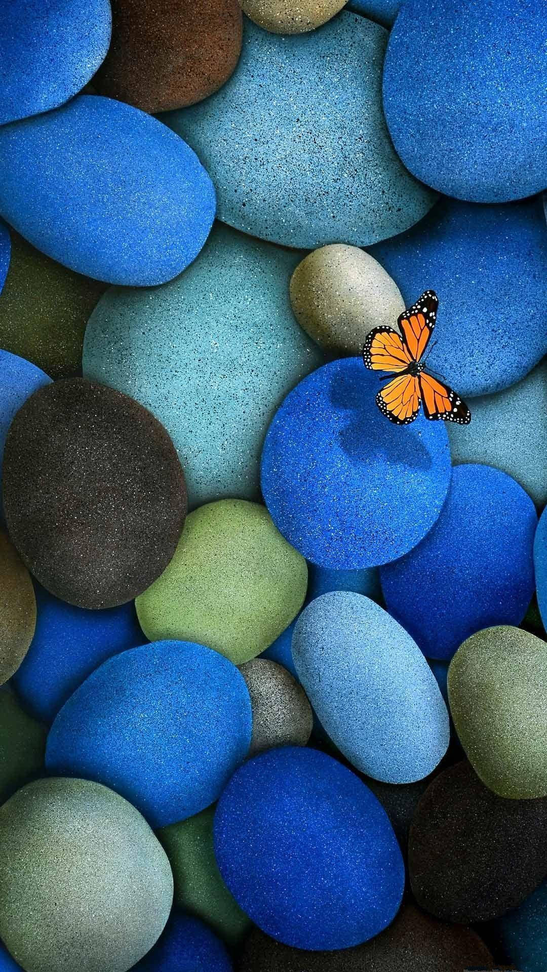 Samsung Galaxy 4K Blå småsten og en sommerfugl Wallpapers