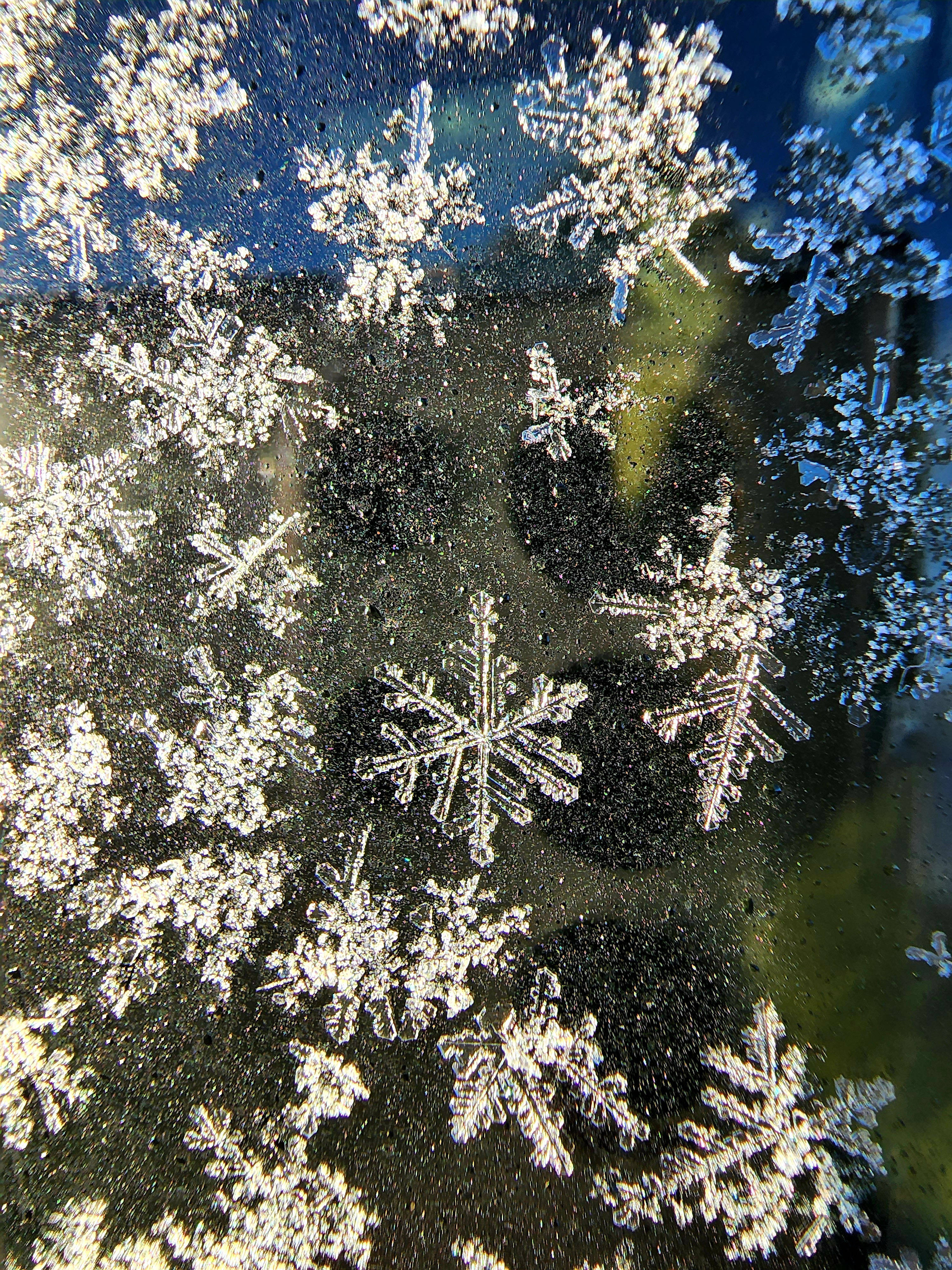 Samsung Galaxy S22 Snefnug Wallpapers