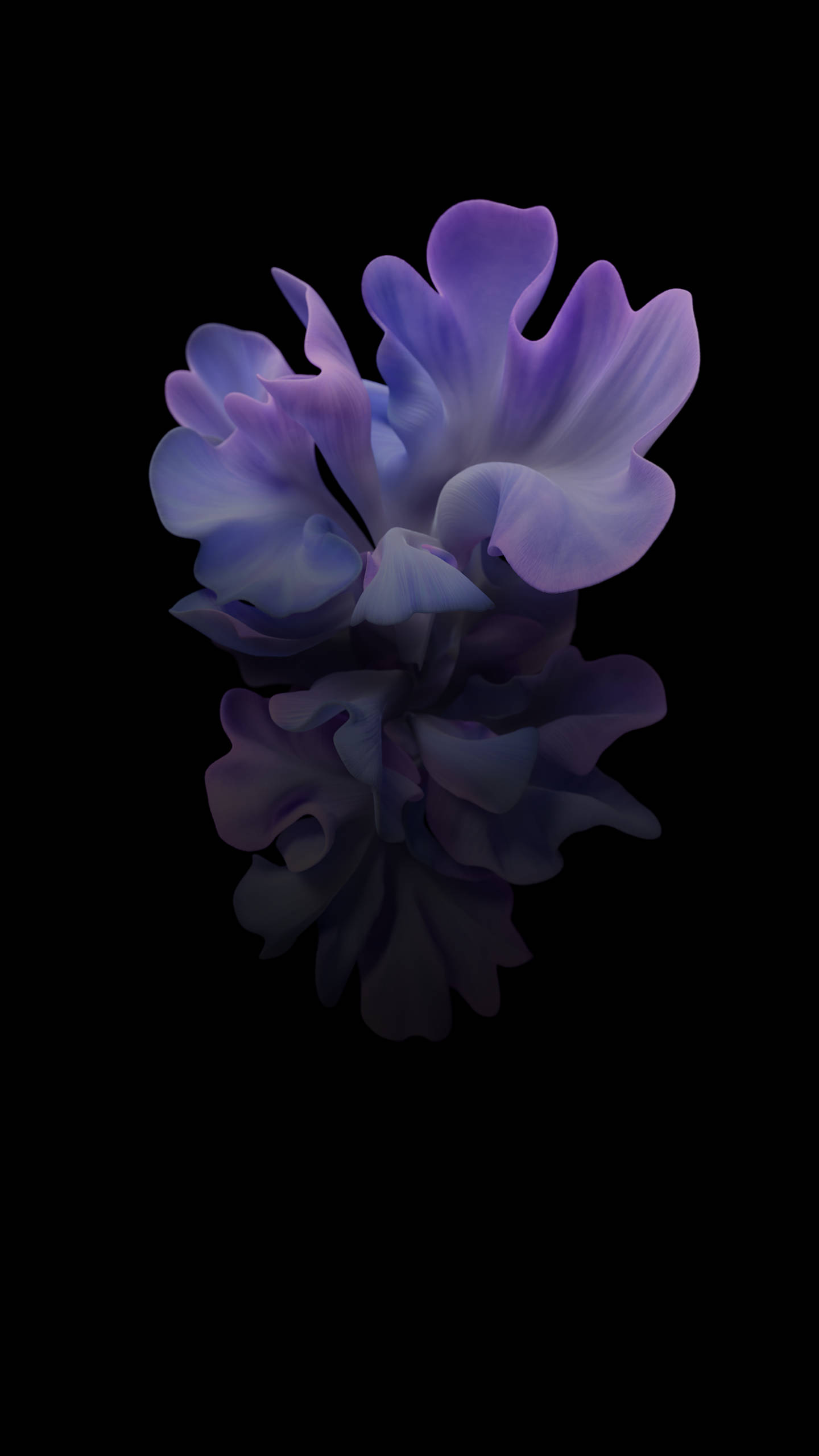 Samsung Galaxy Z Flip Lilla Blomstermotiv Wallpapers