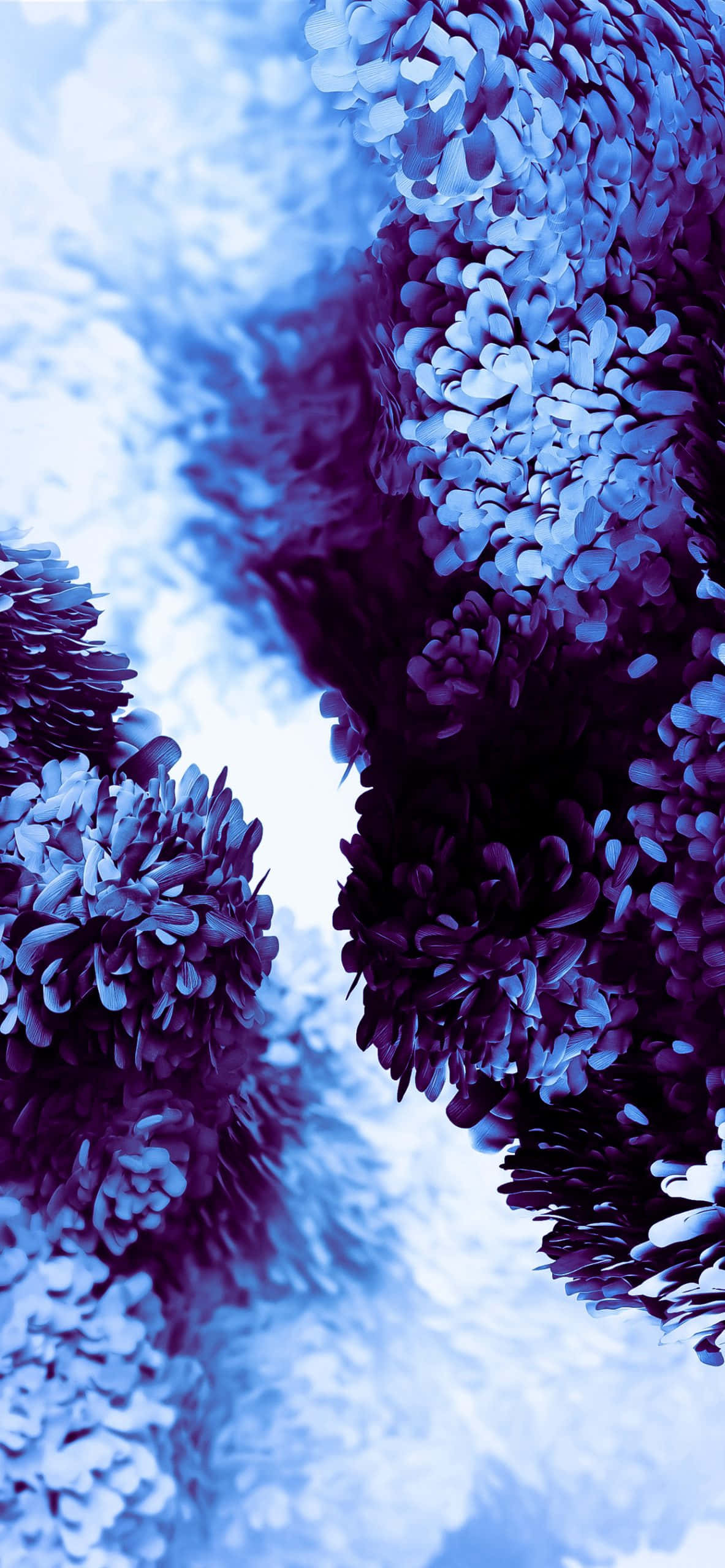Samsungs elegante nye design Wallpapers