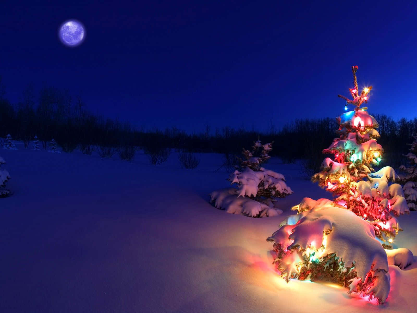 "Scrooges forvandling i den klassiske julefortælling 'A Christmas Carol'" Wallpapers