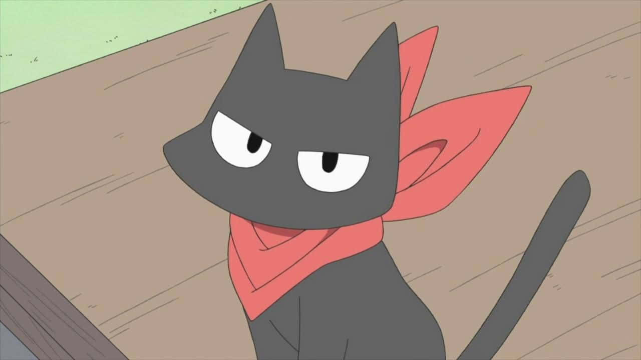 Sød anime-kat kigger på kameraet Wallpapers