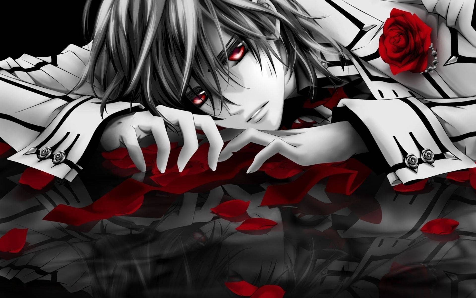 Sød Anime PFP Vampire Knight Wallpapers