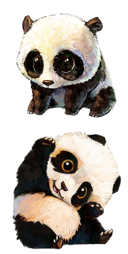 Sød animeret panda-par Wallpapers