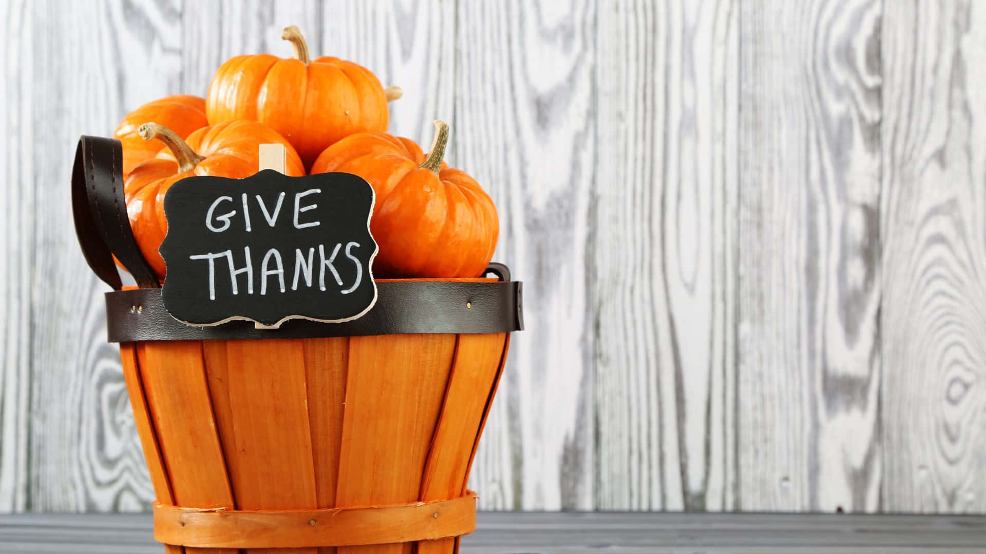 Sød baggrund til Thanksgiving Wallpapers