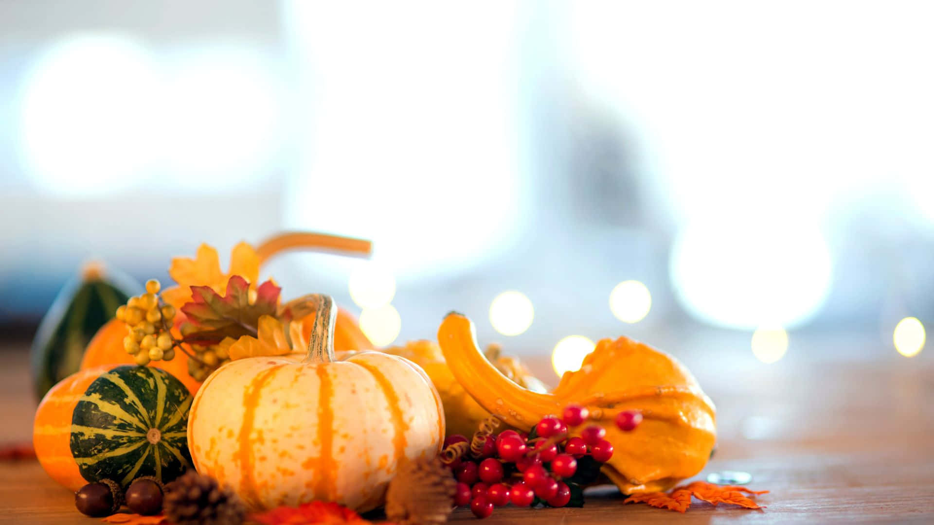 Sød baggrund til Thanksgiving Wallpapers