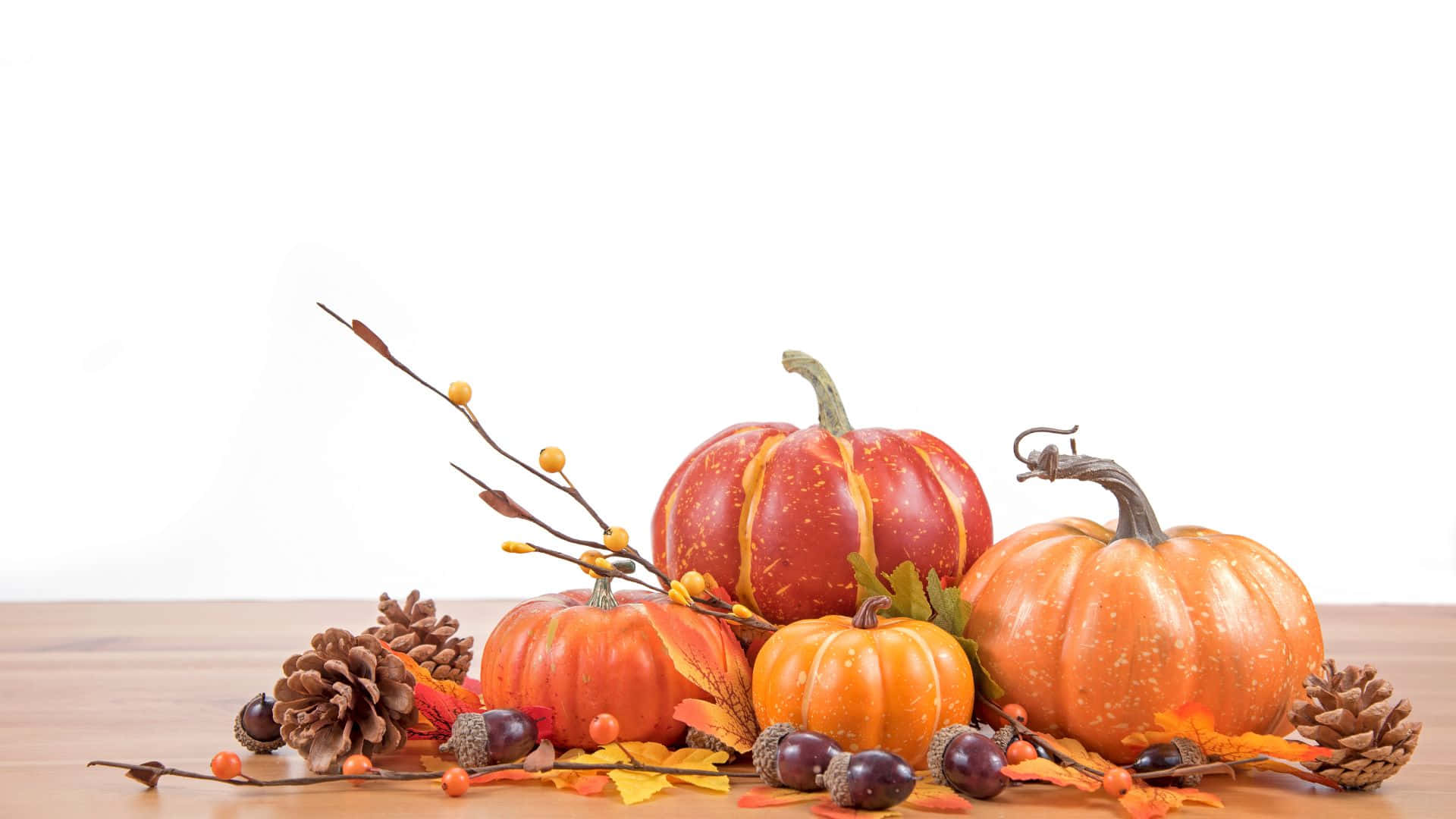 Sød baggrund til Thanksgiving Wallpapers