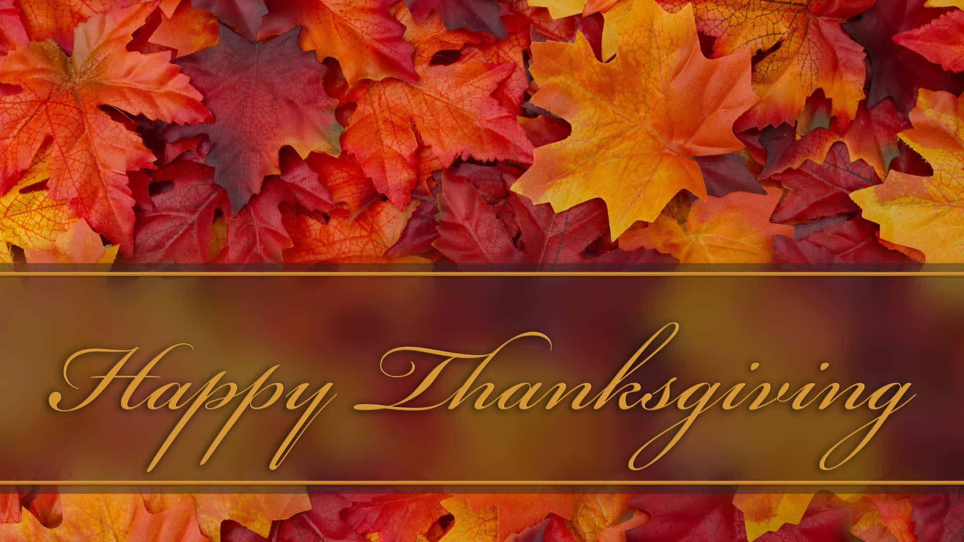 Sød baggrund til Thanksgiving Wallpapers