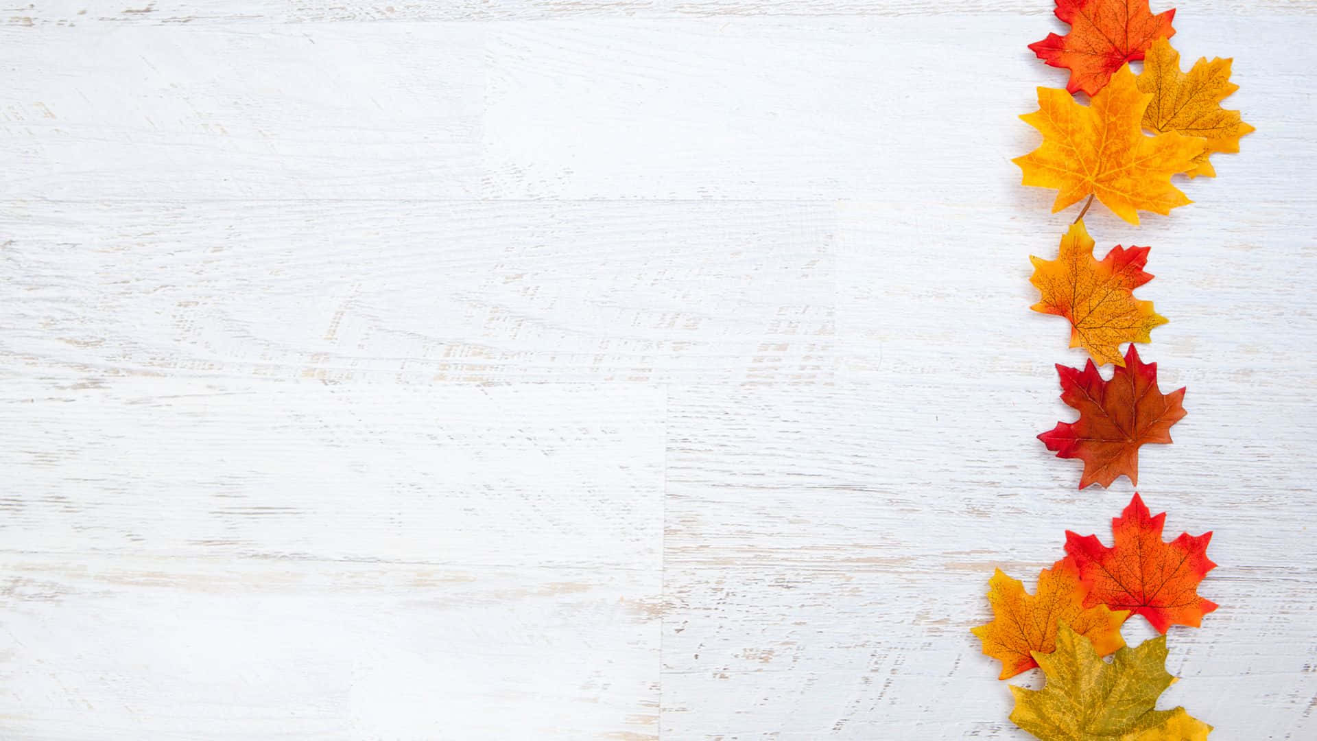 Sød baggrund til Thanksgiving Wallpapers