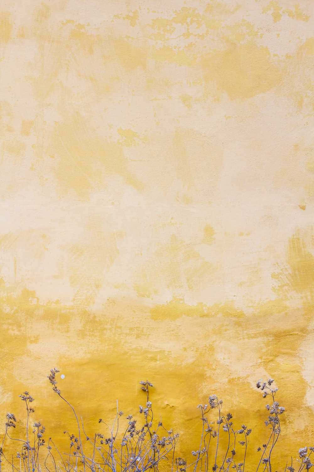 Sød falmet pastelgul væg Wallpapers