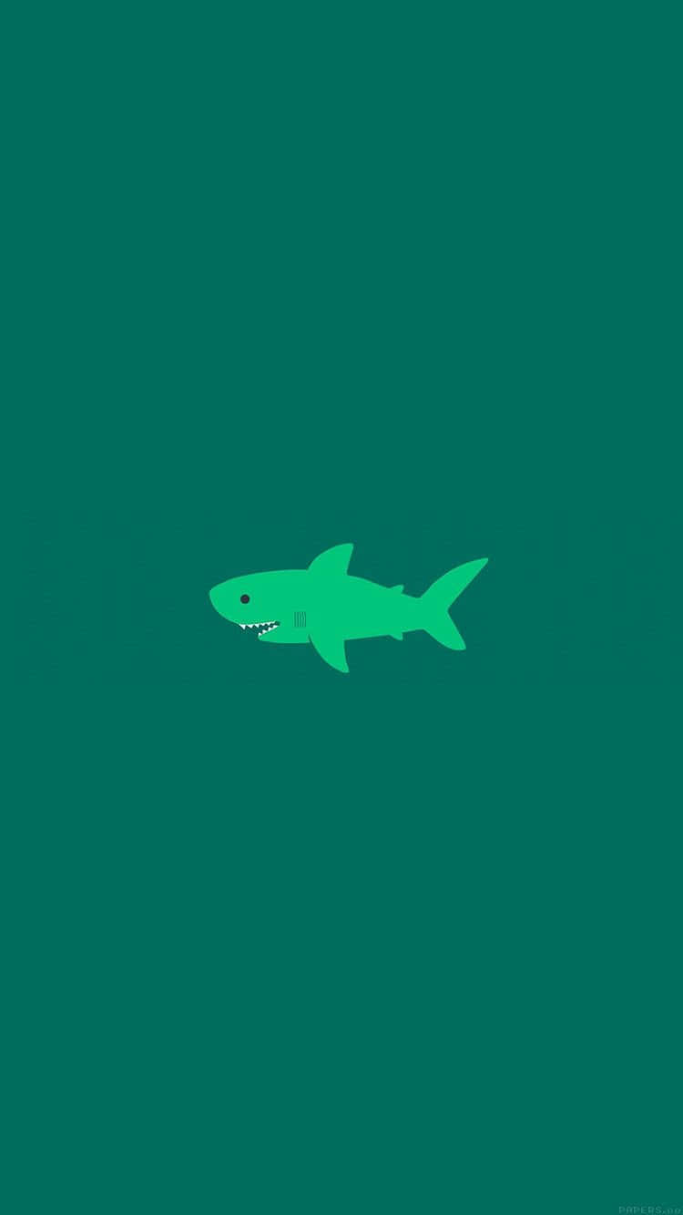 Sød grøn haj Wallpapers