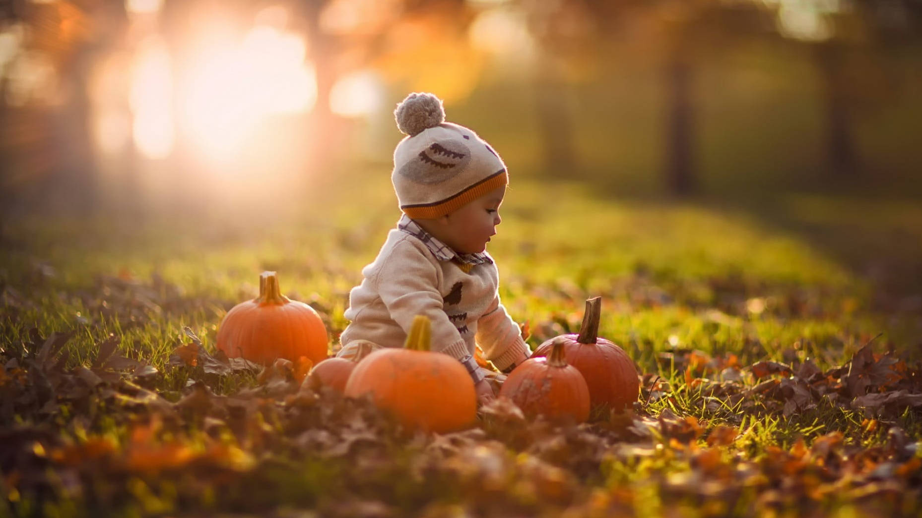 Sød Halloween-baby i parken Wallpapers