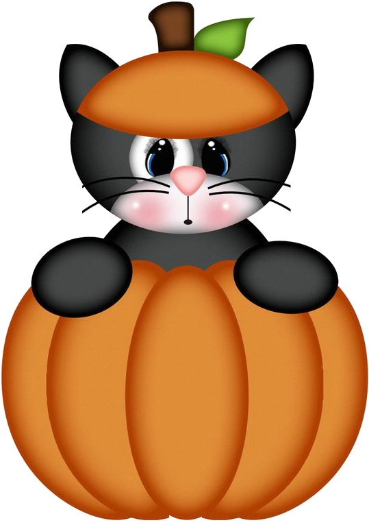 Sød kat i græskar kostume til Halloween Wallpapers