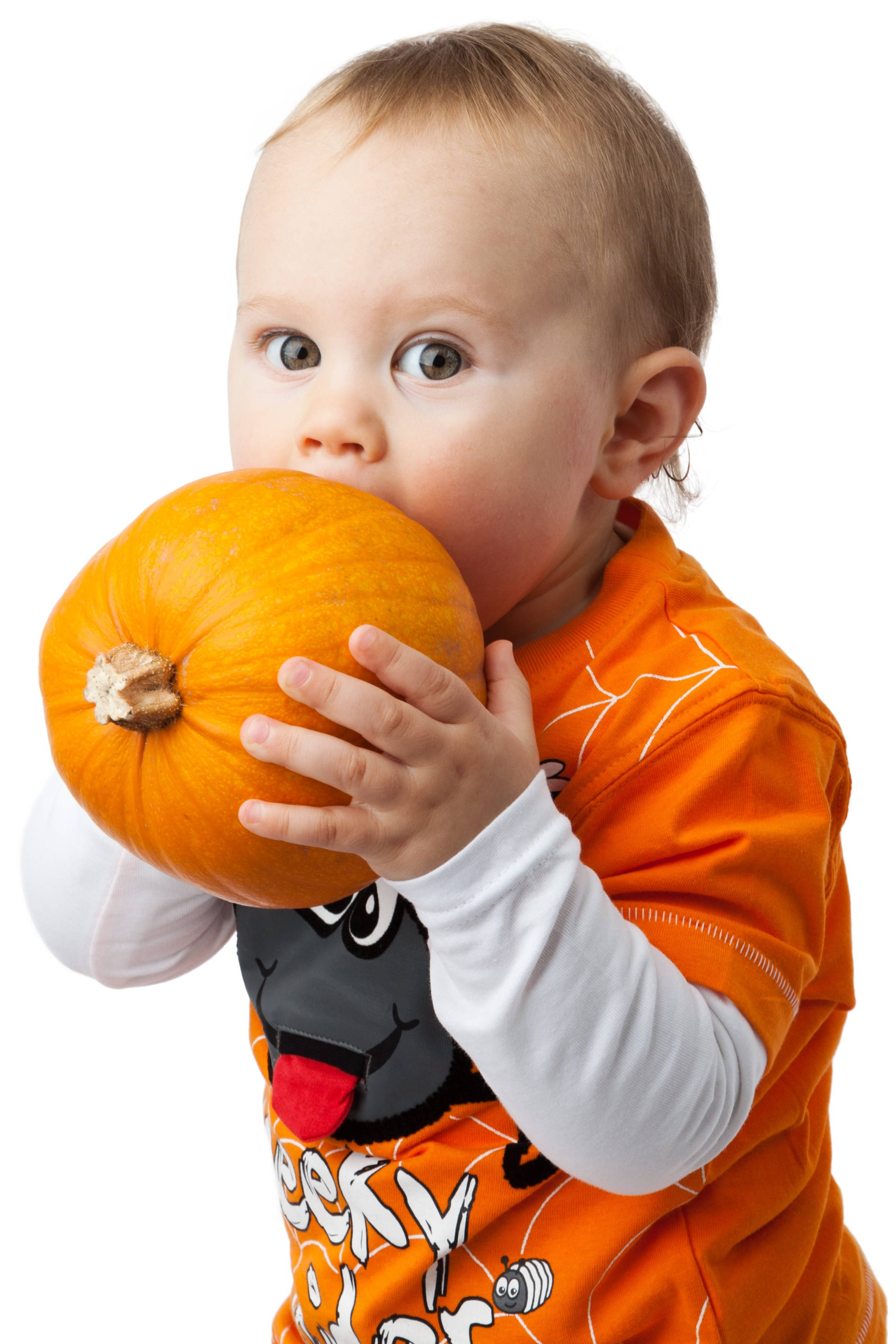 Sød lille dreng med græskar til Halloween Wallpapers